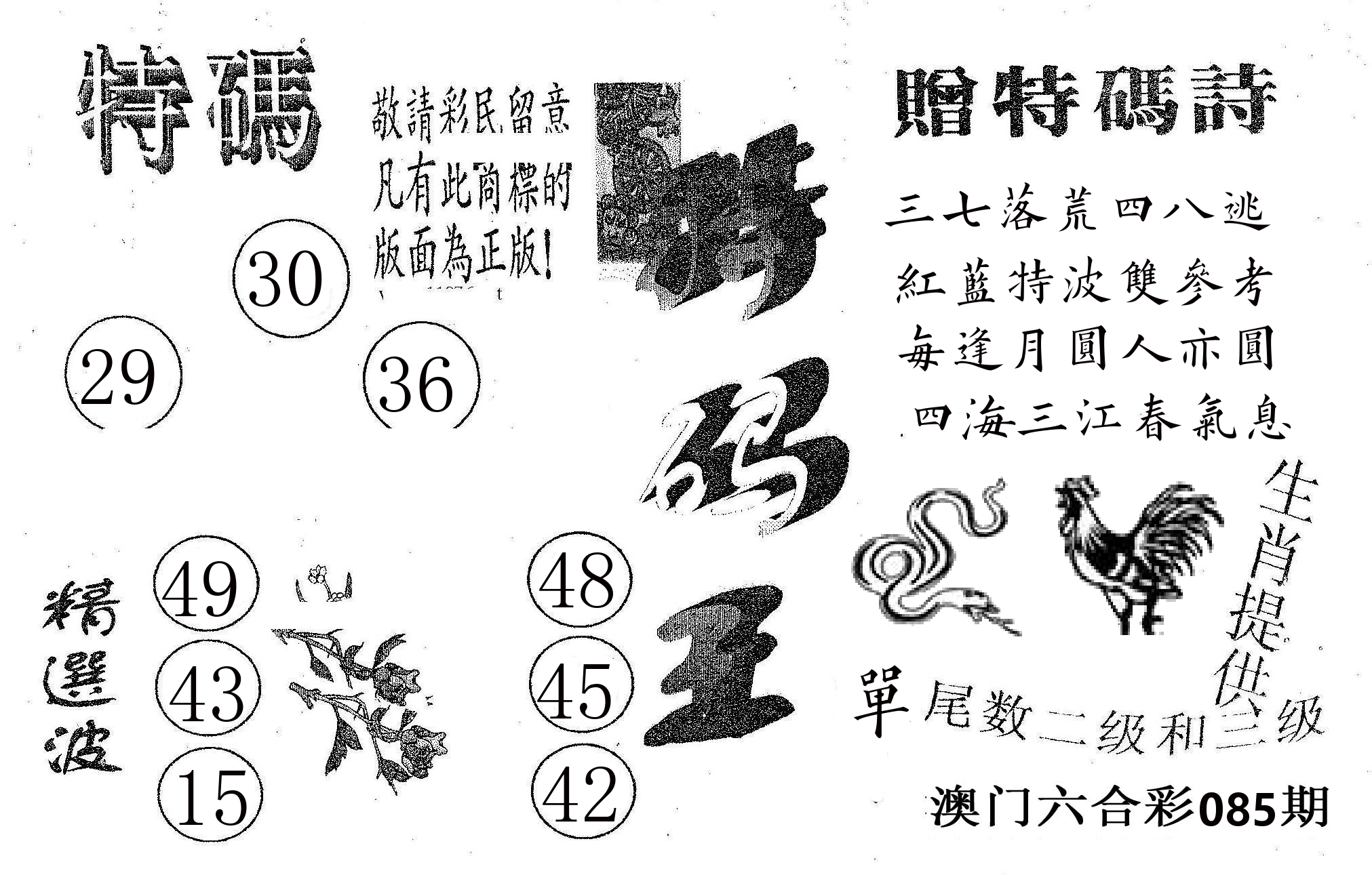 特码王A 第85期