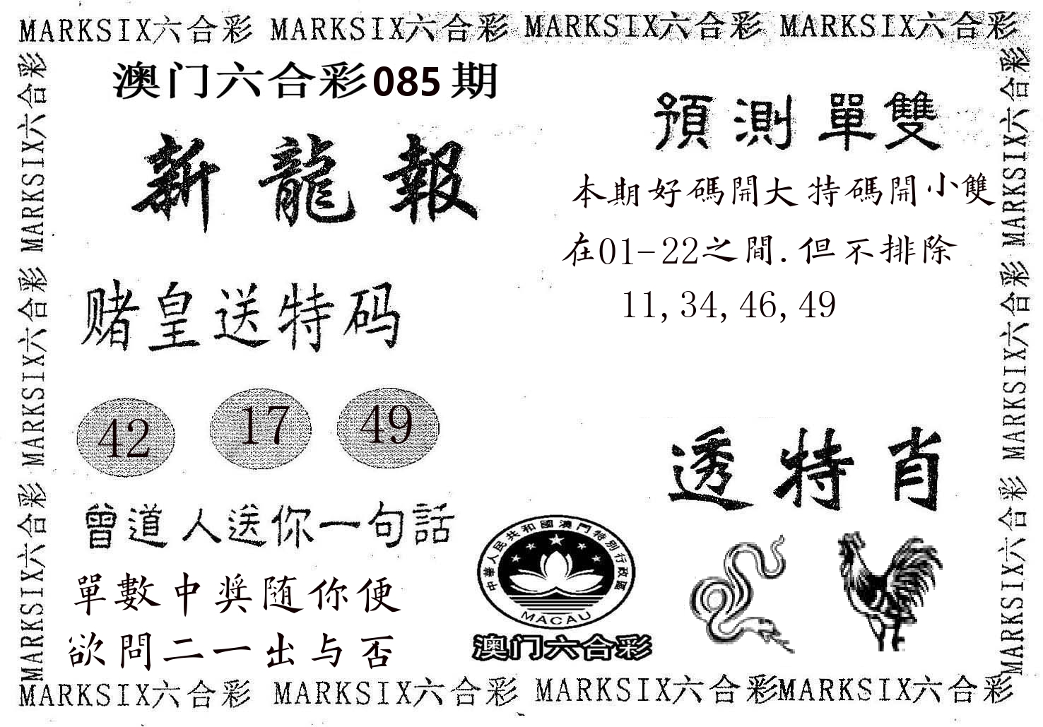 新龙报 第85期