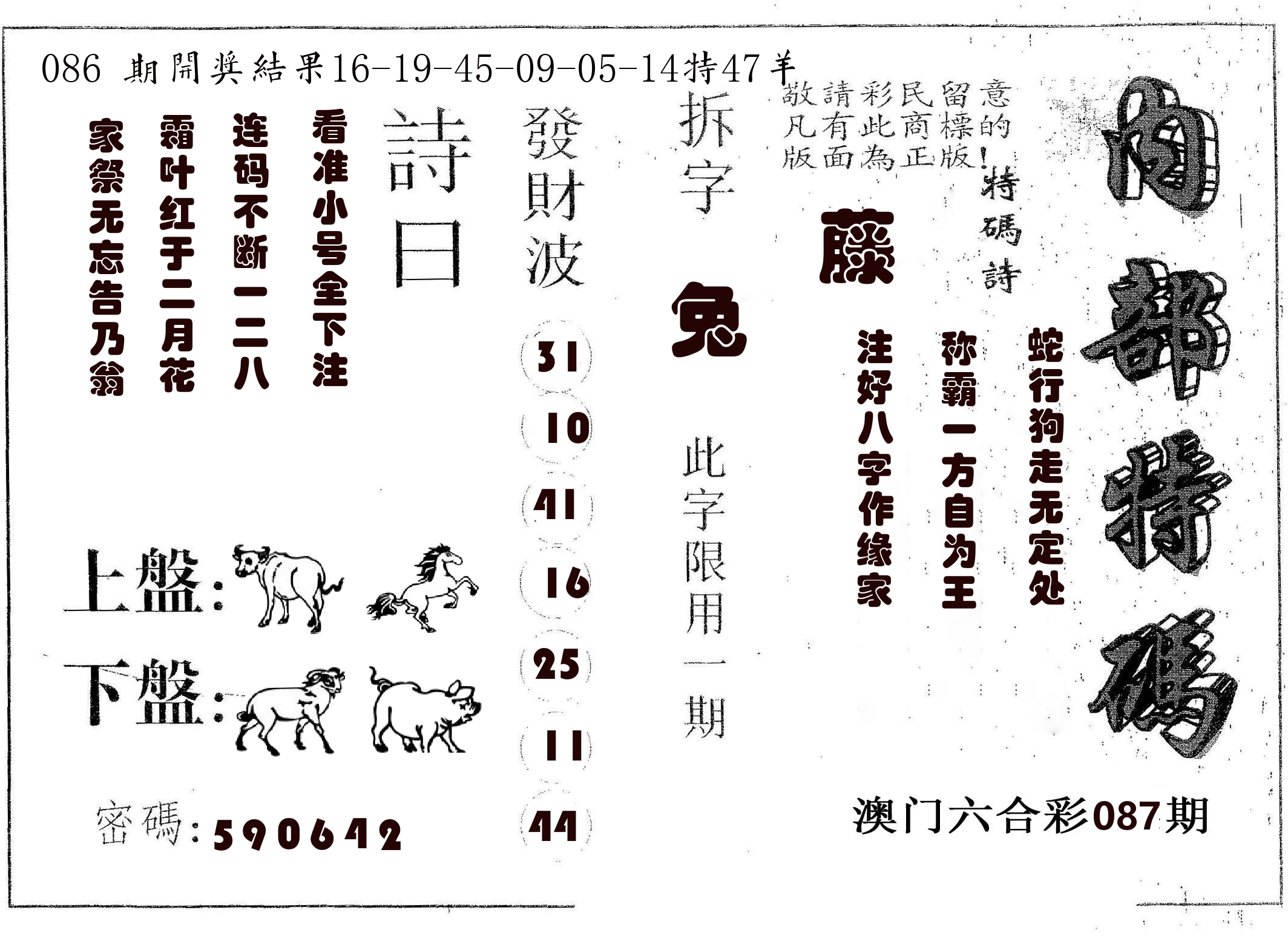 内部特码 第87期