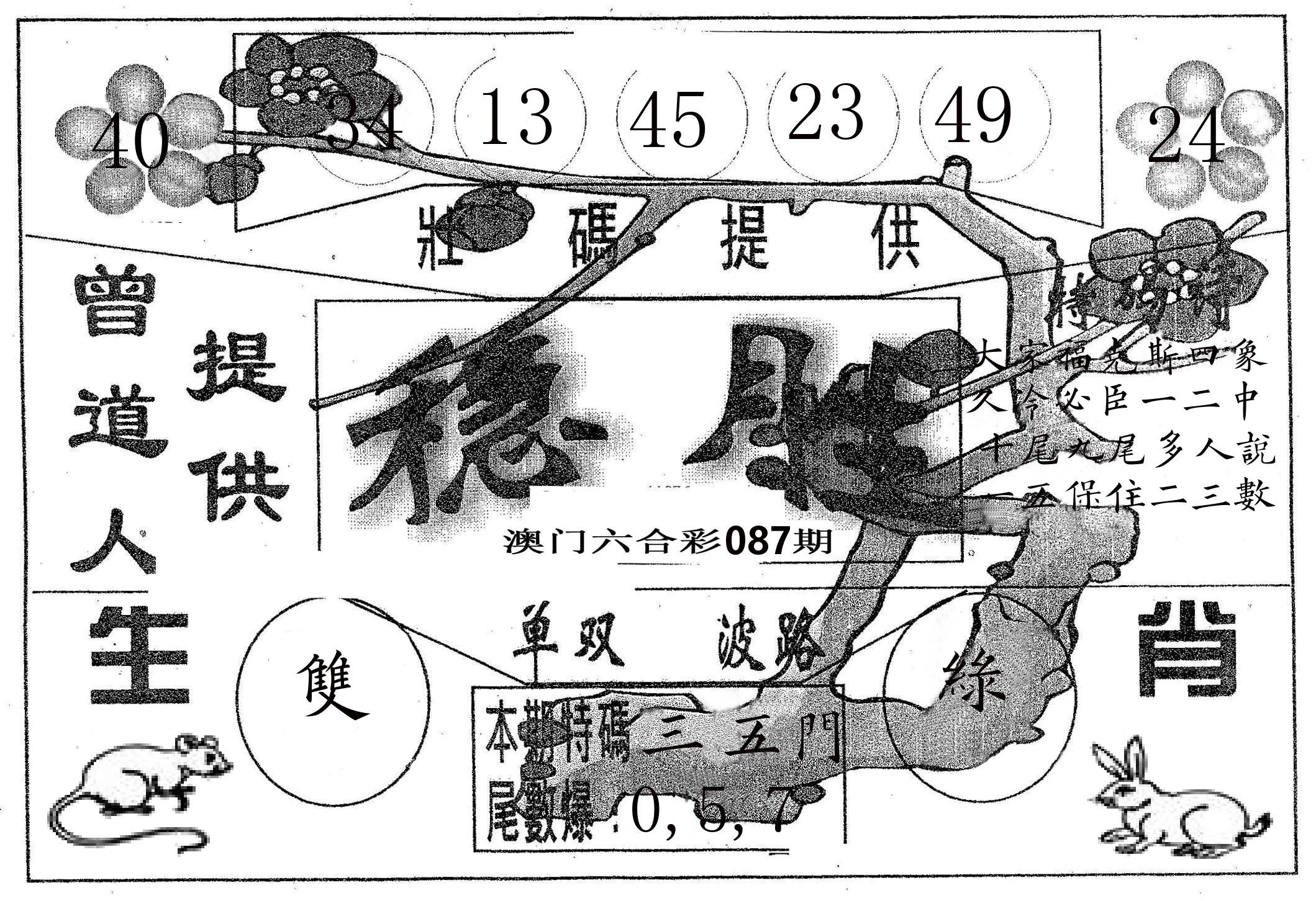 稳胜 第87期