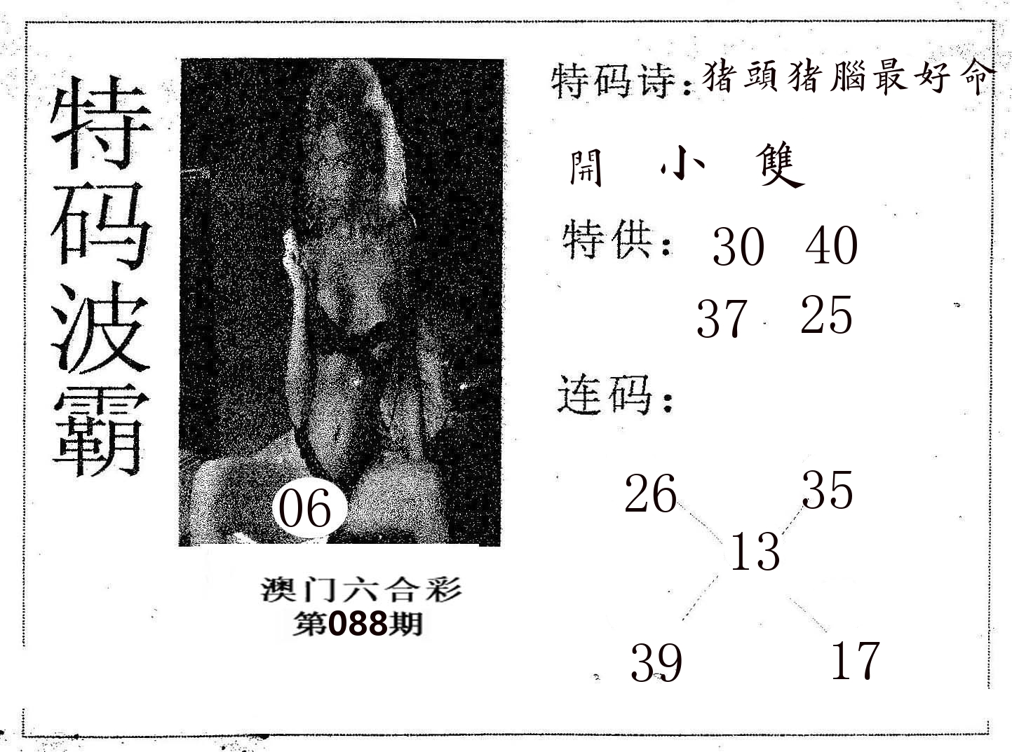 特码波霸 第88期