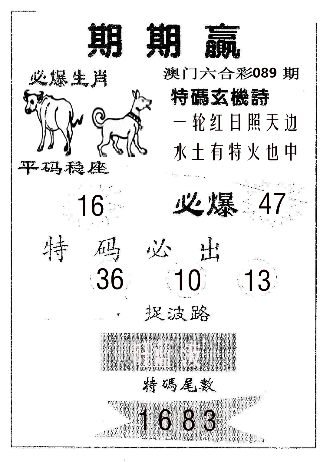 期期赢 第89期