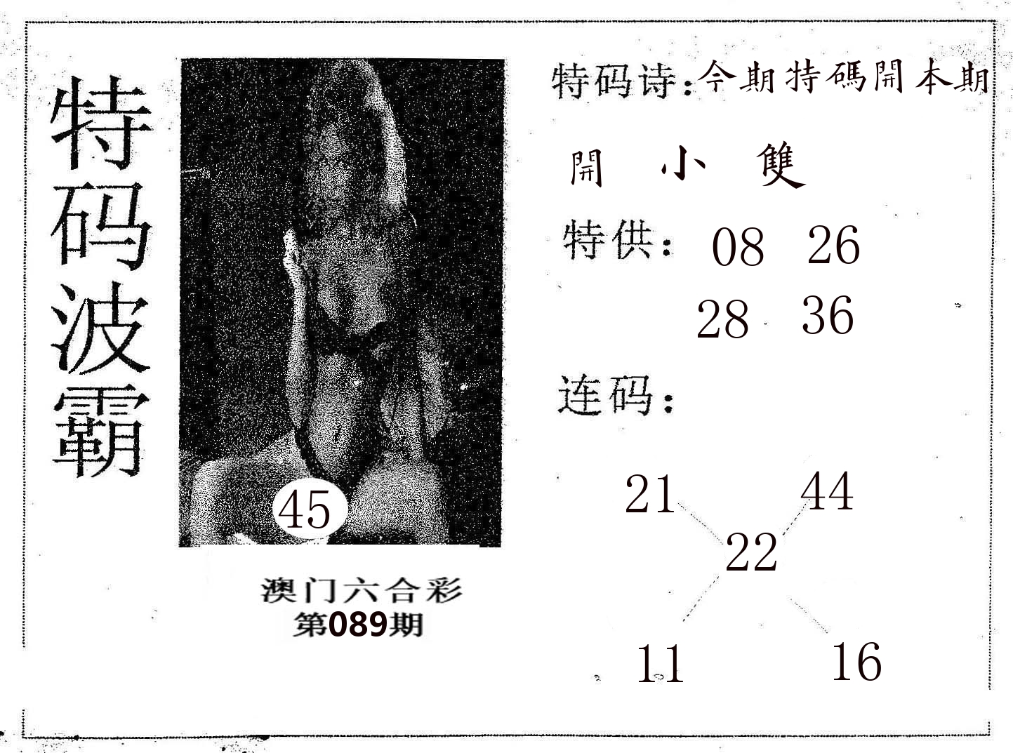 特码波霸 第89期