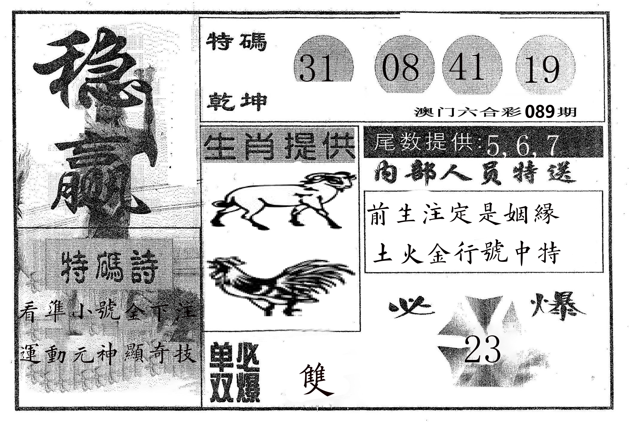 稳赢 第89期