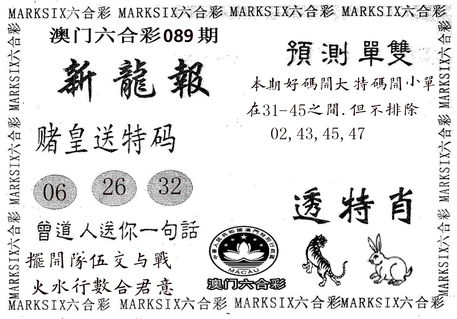 新龙报 第89期