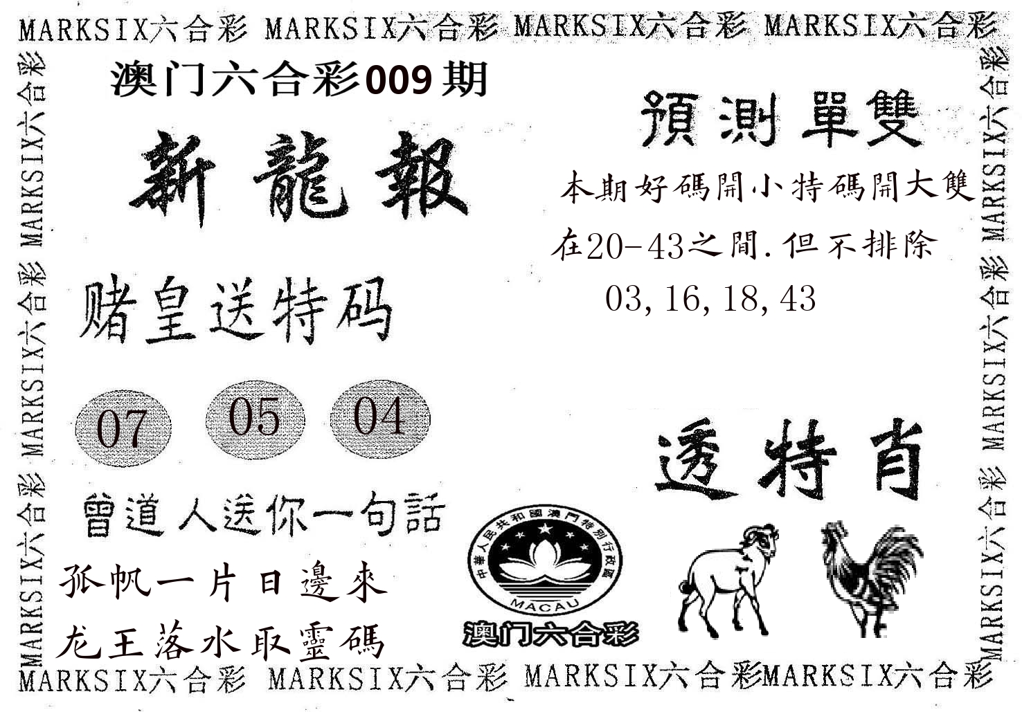 新龙报 第9期