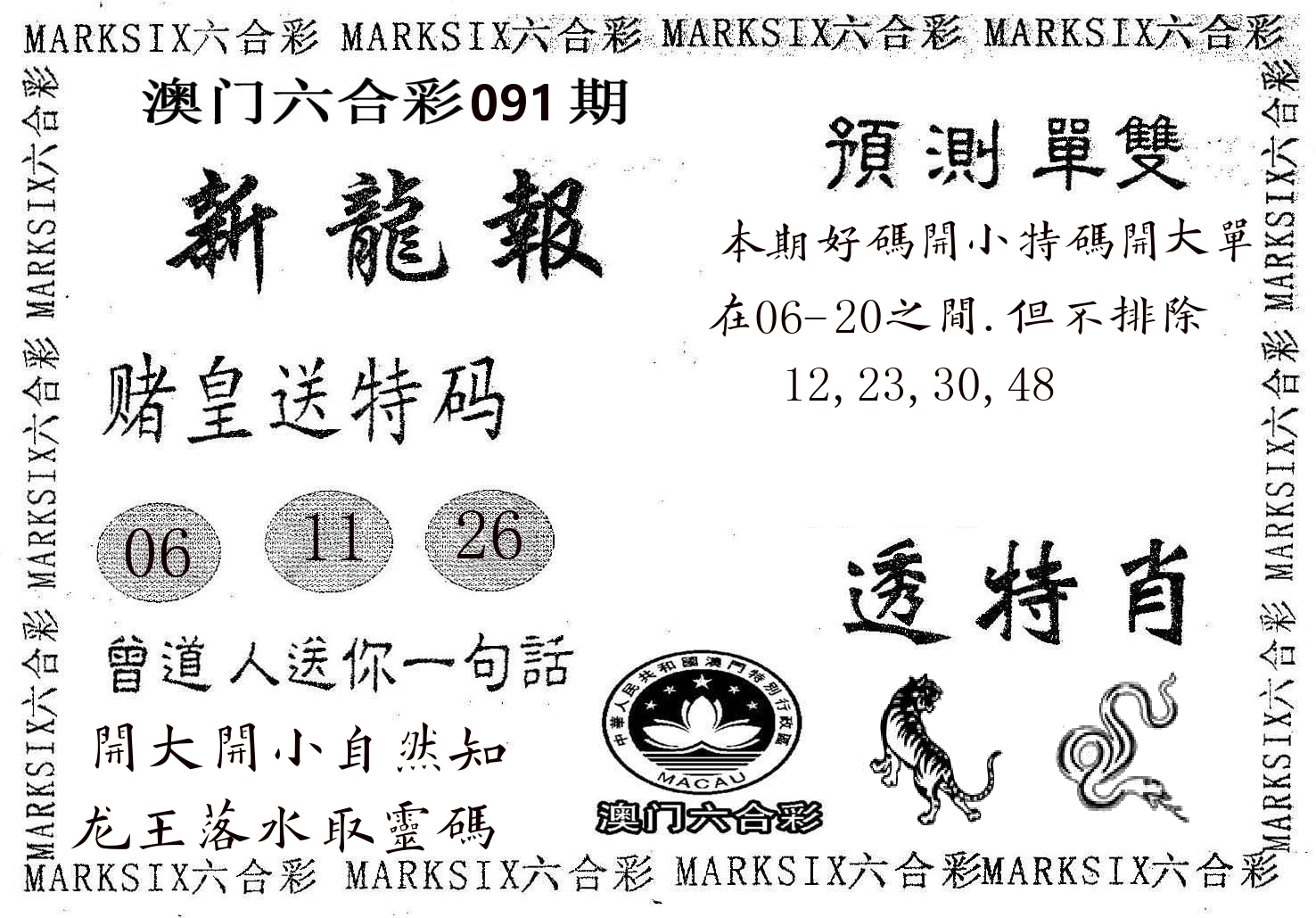 新龙报 第91期