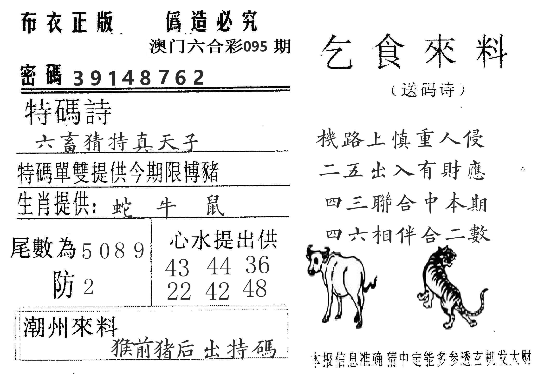 千禧码王 第95期