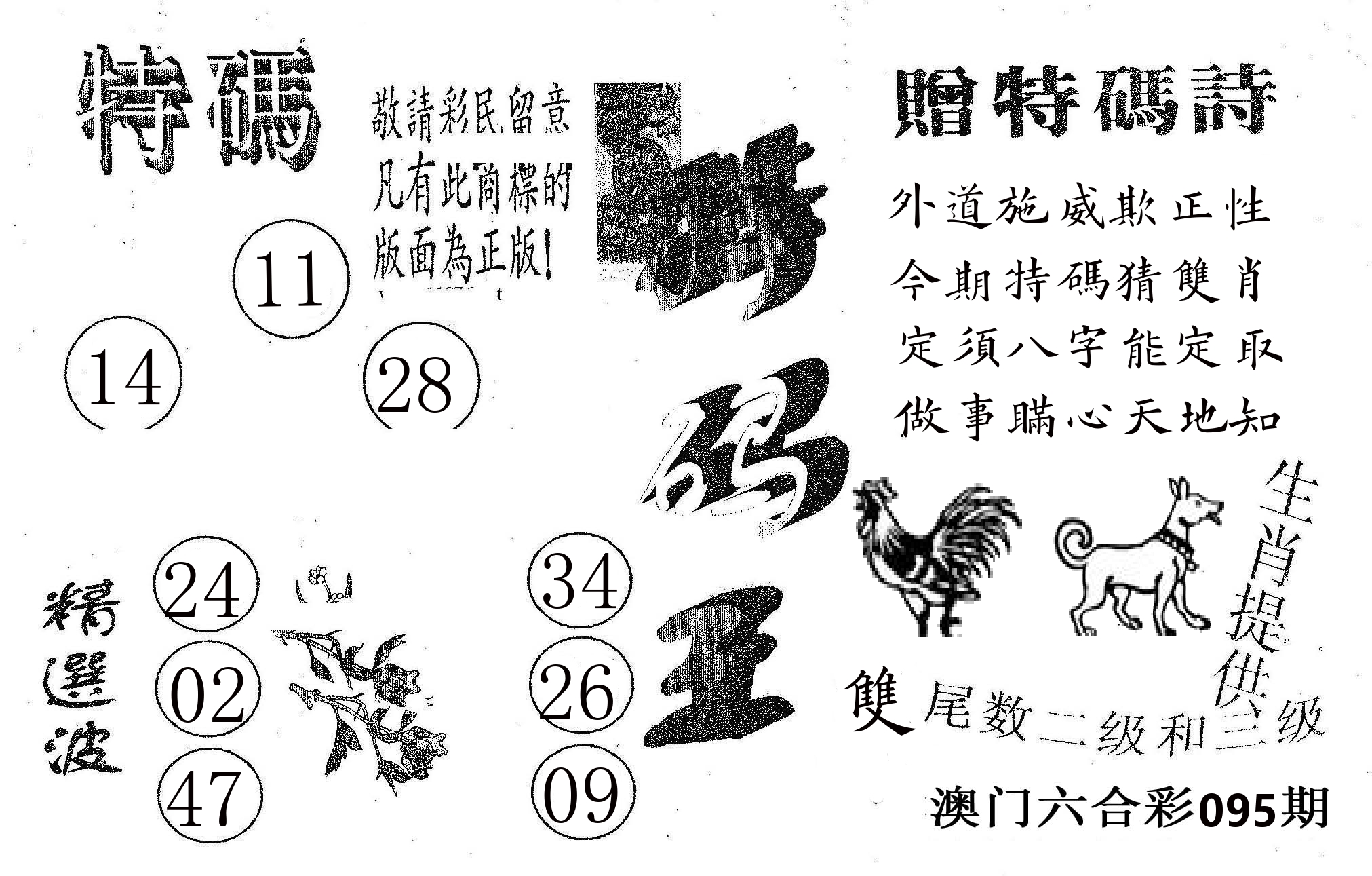 特码王A 第95期