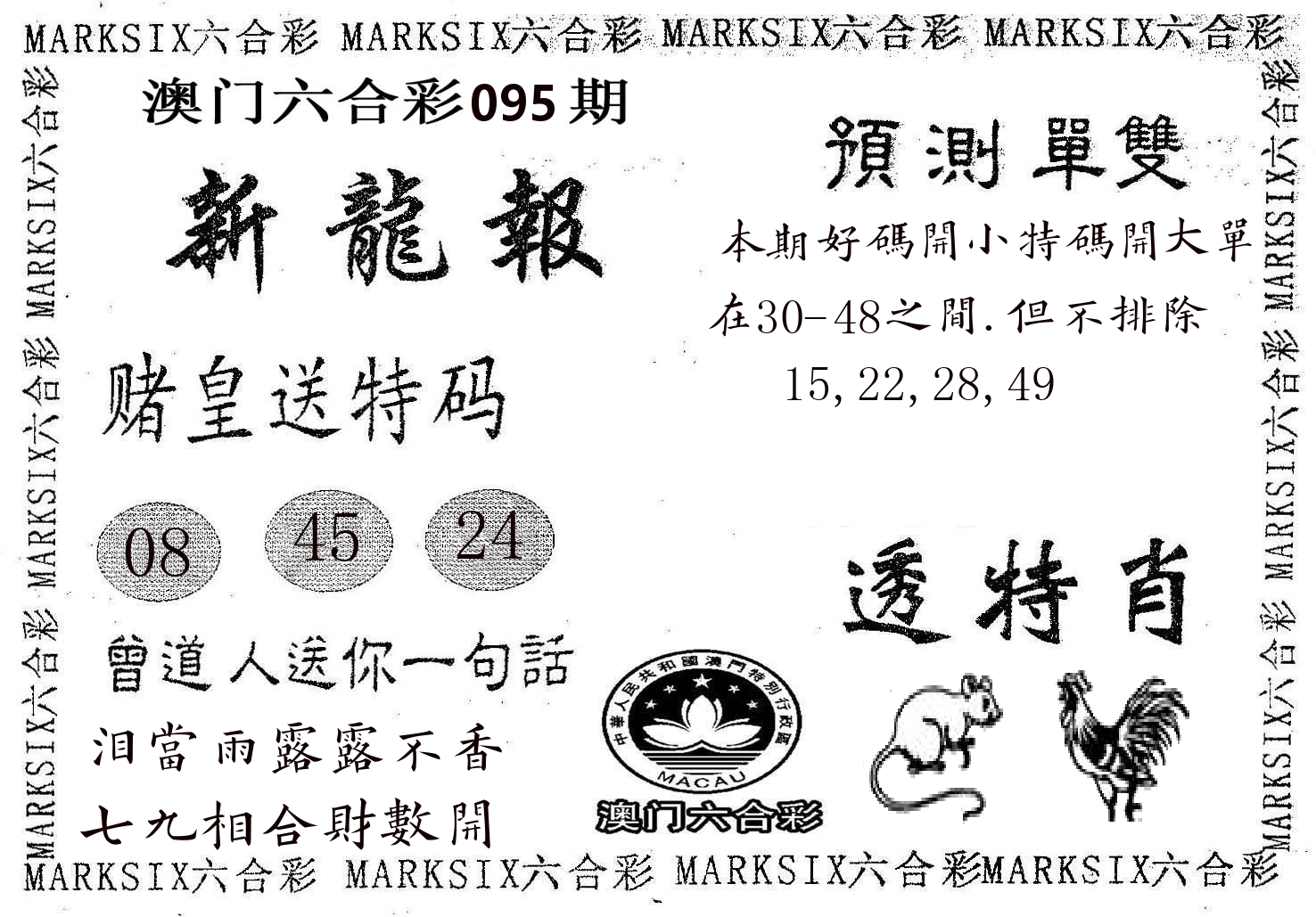 新龙报 第95期