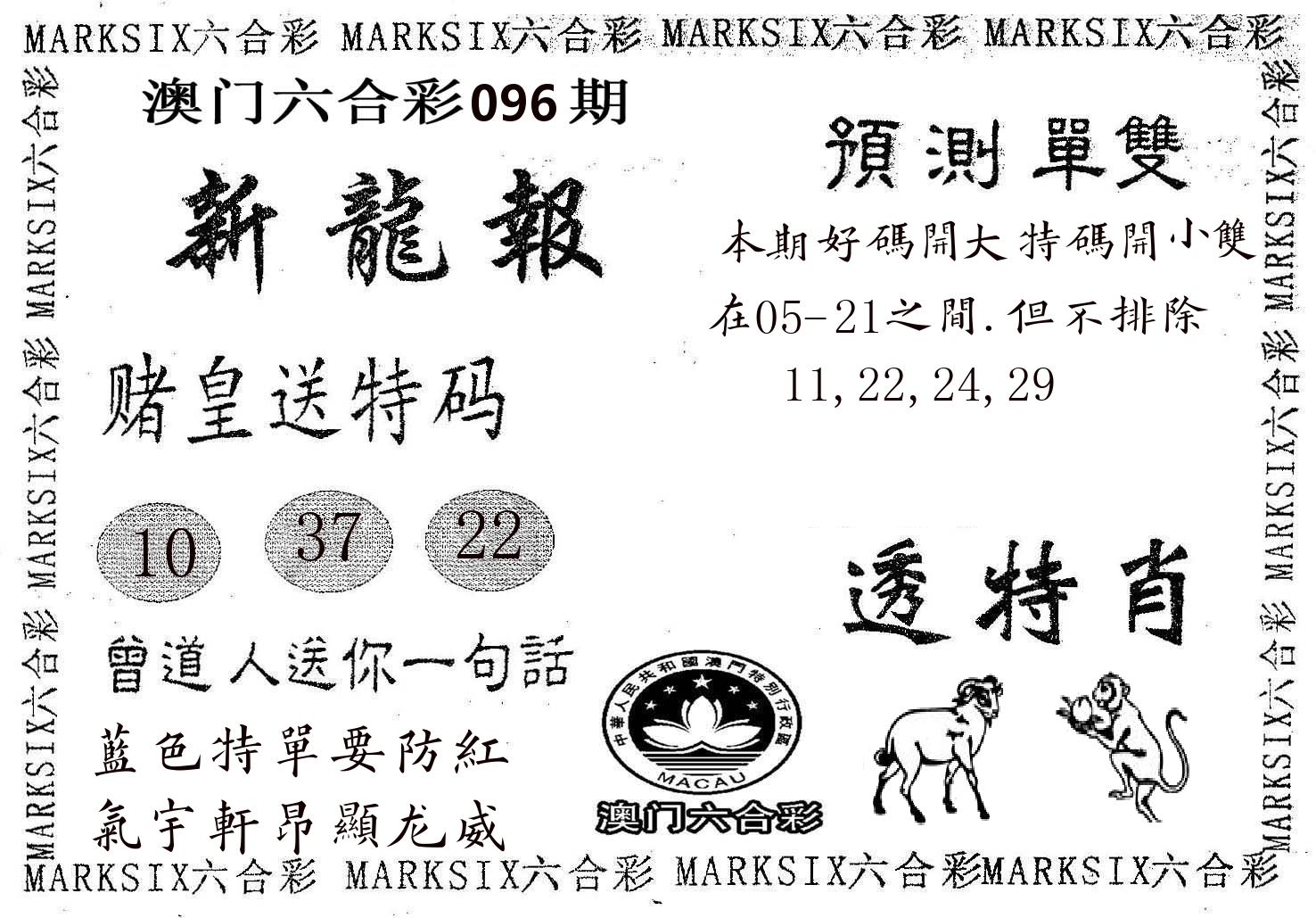 新龙报 第96期