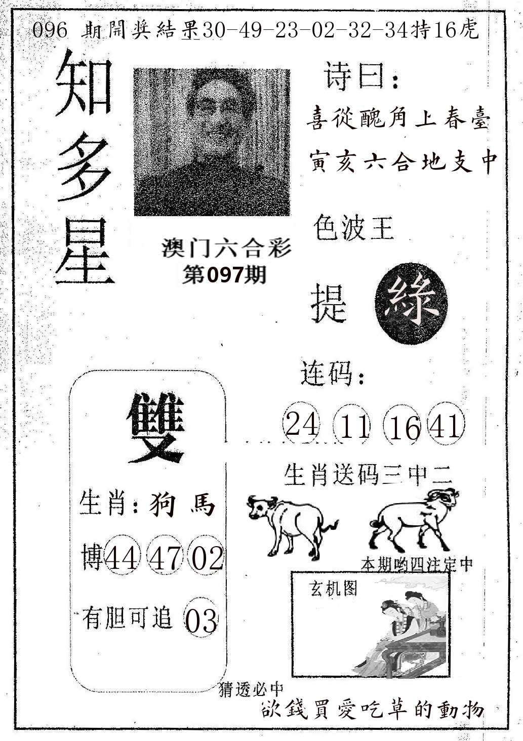 知多星 第97期