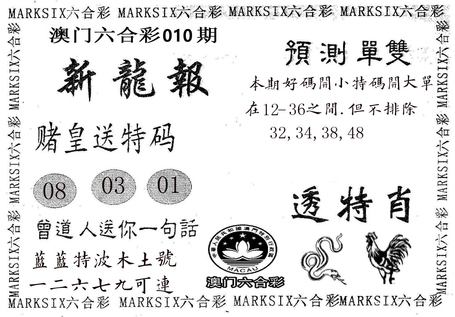 新龙报 第10期
