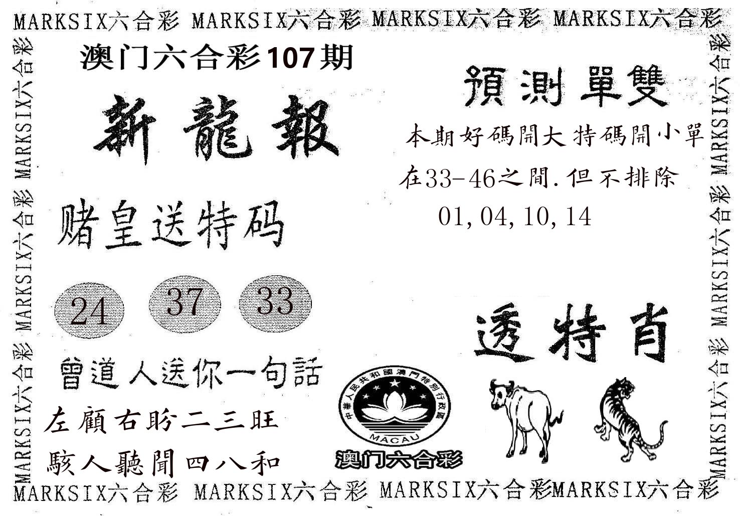 新龙报 第107期