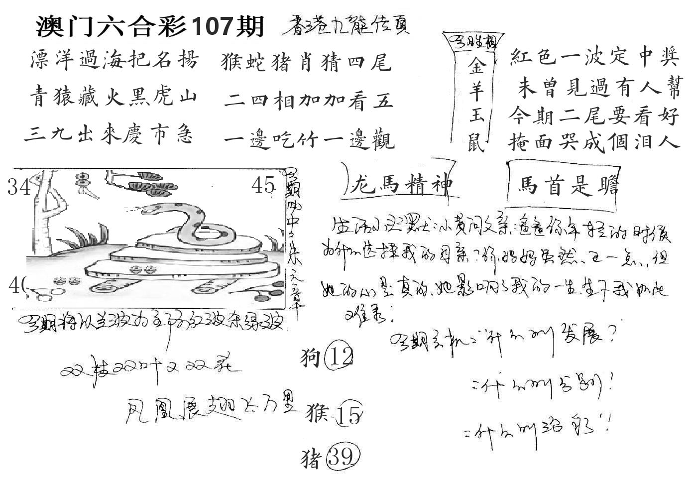 澳门手写九龙 第107期