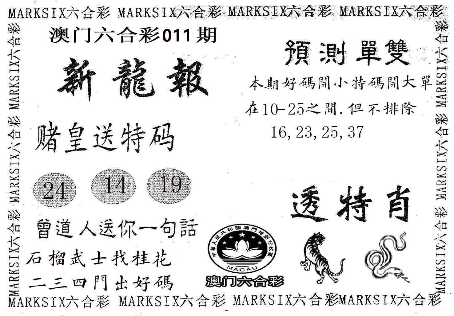 新龙报 第11期