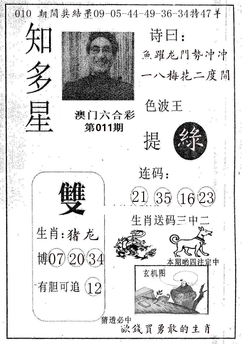 知多星 第11期