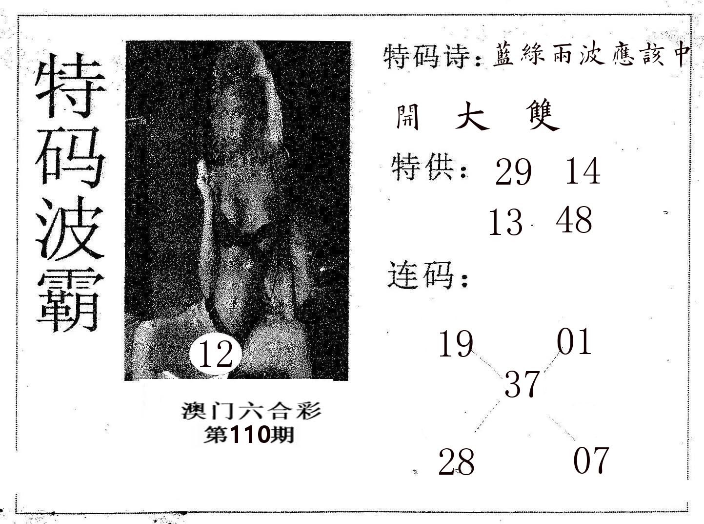 特码波霸 第110期