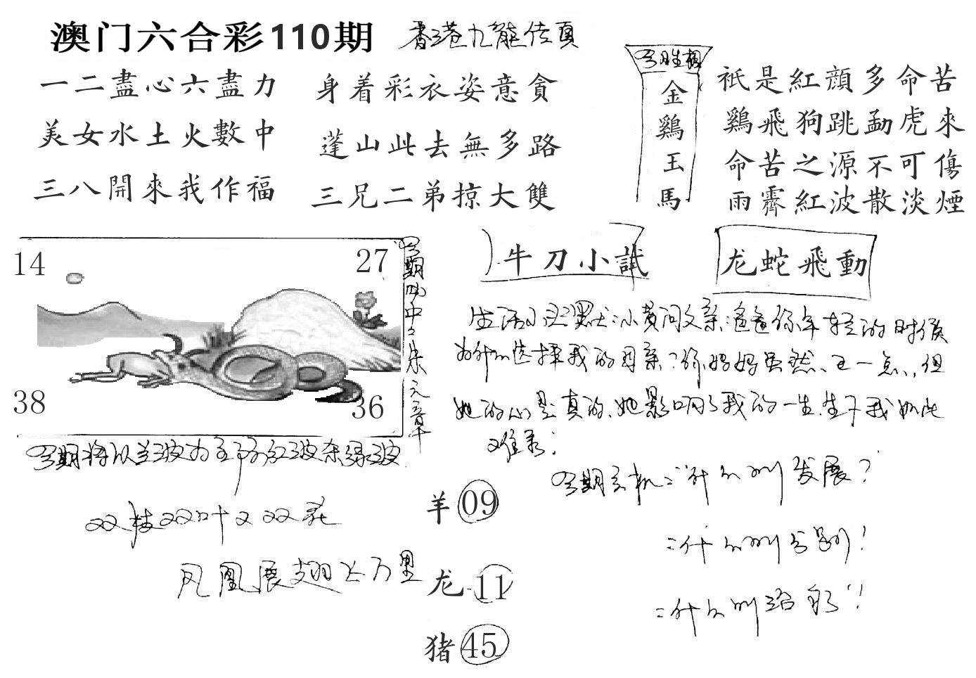澳门手写九龙 第110期