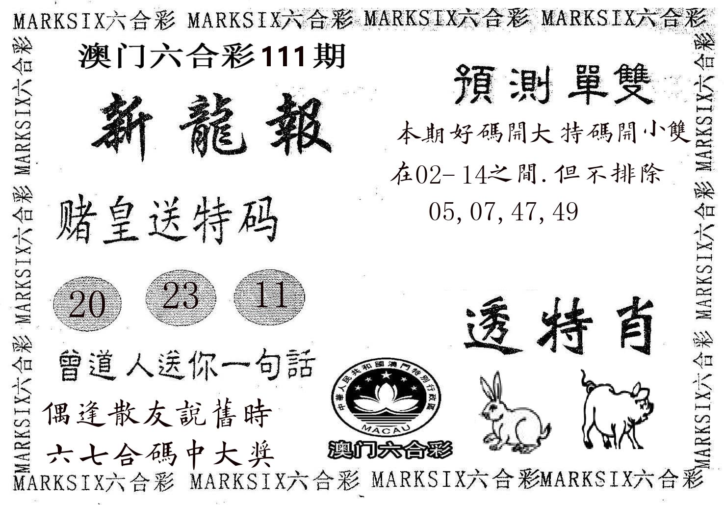 新龙报 第111期