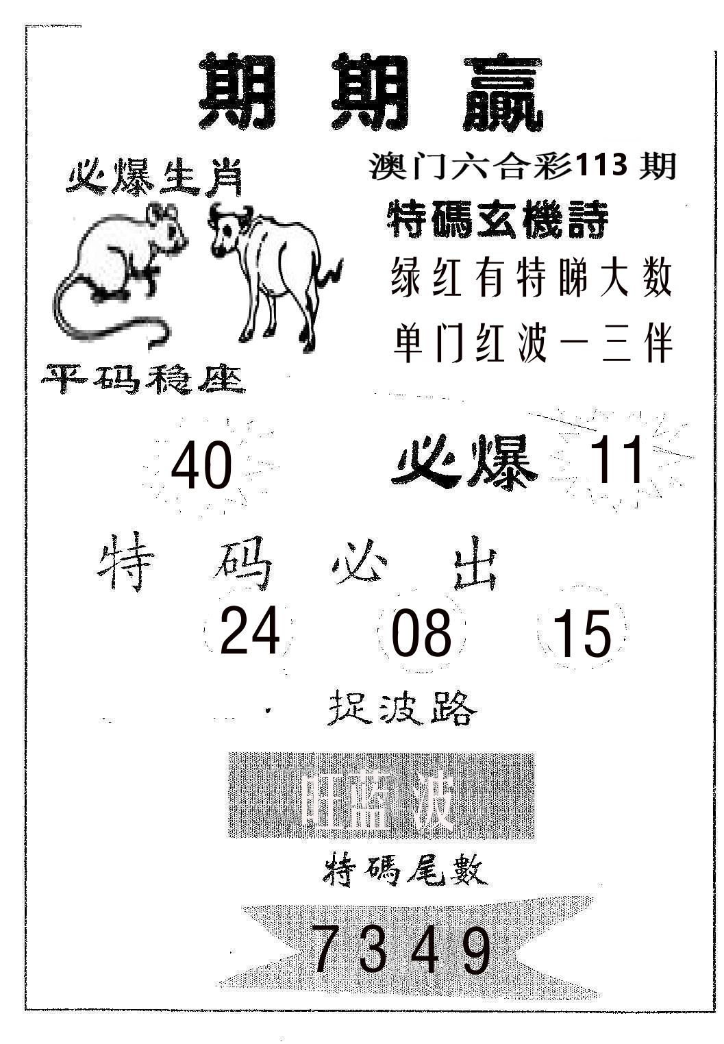 期期赢 第113期