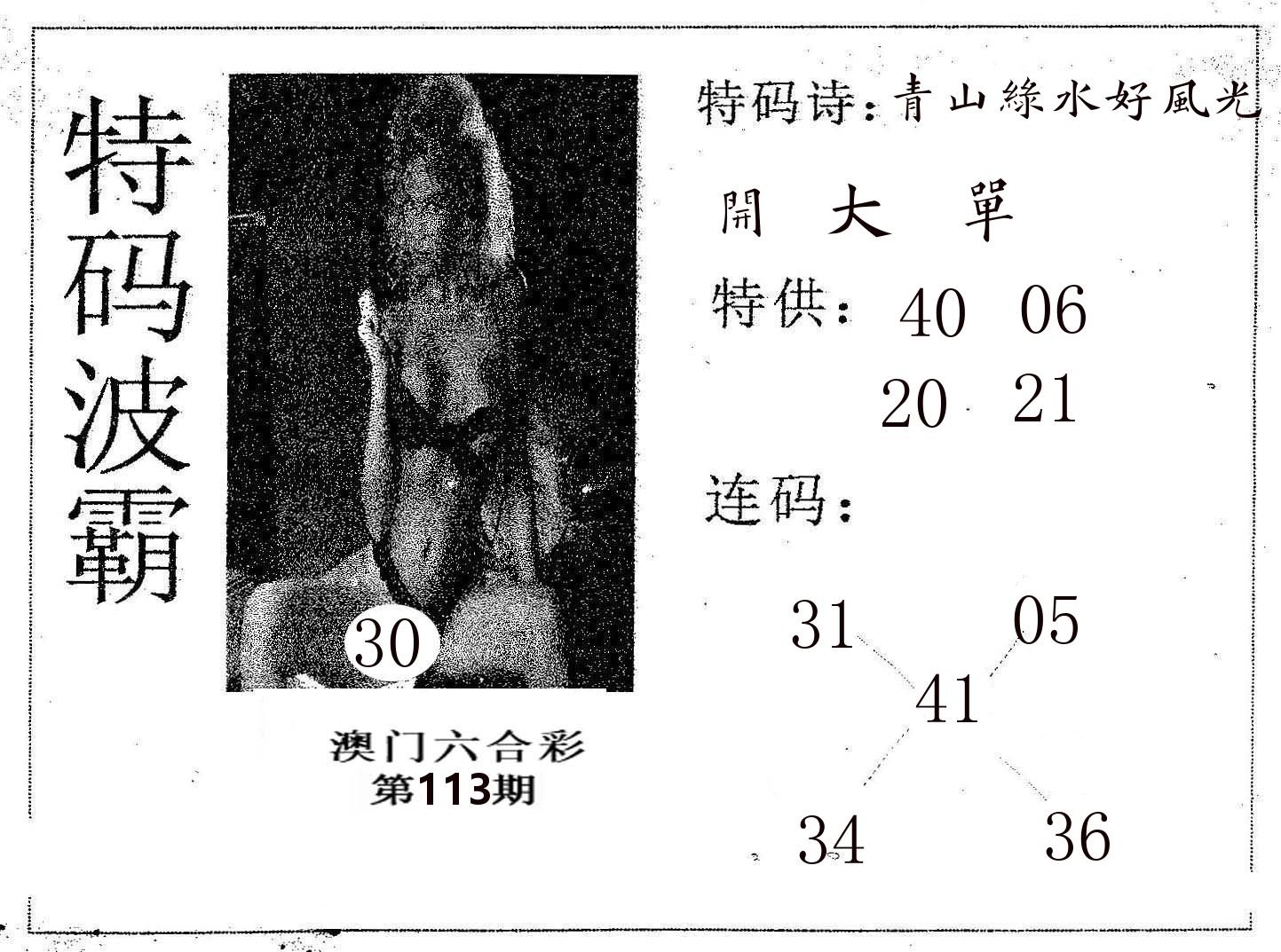 特码波霸 第113期