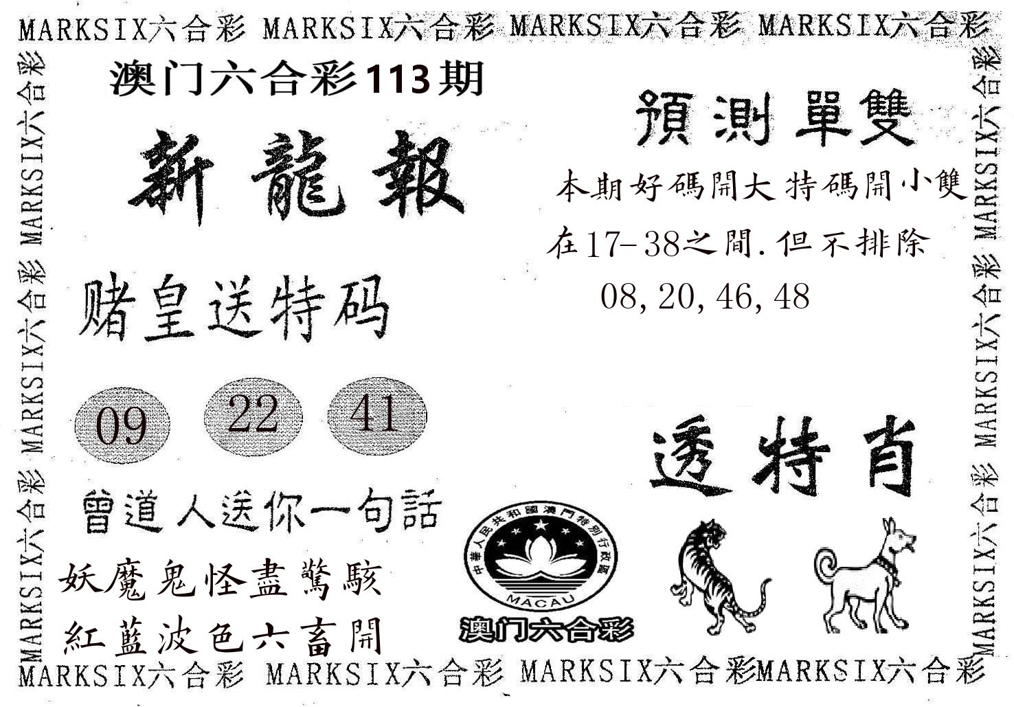 新龙报 第113期