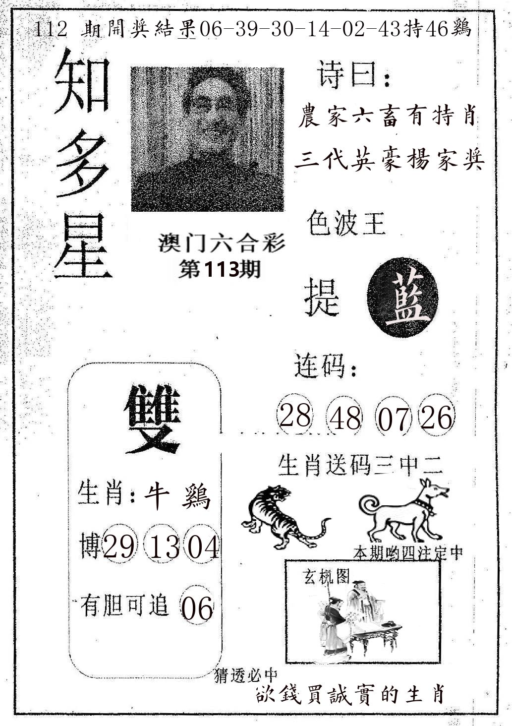 知多星 第113期