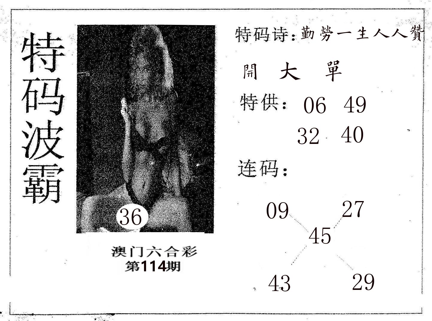 特码波霸 第114期
