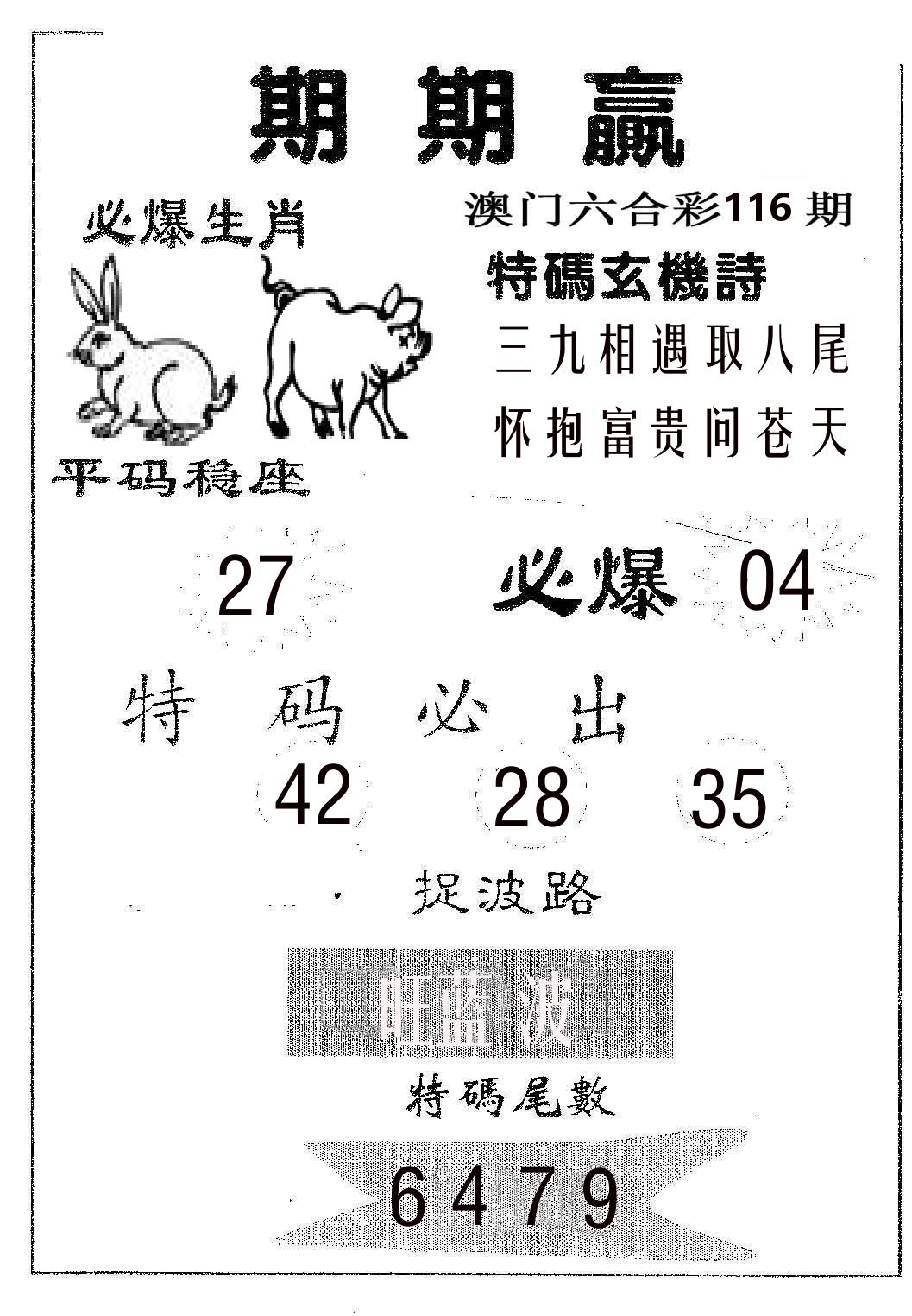 期期赢 第116期