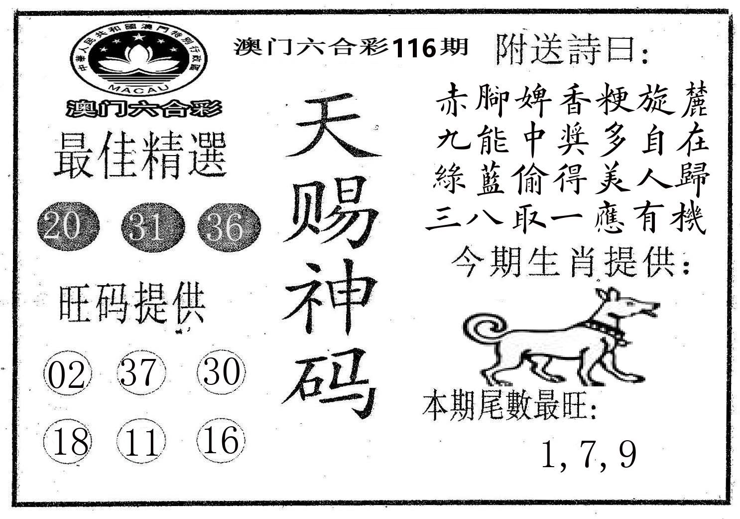 天赐神码 第116期