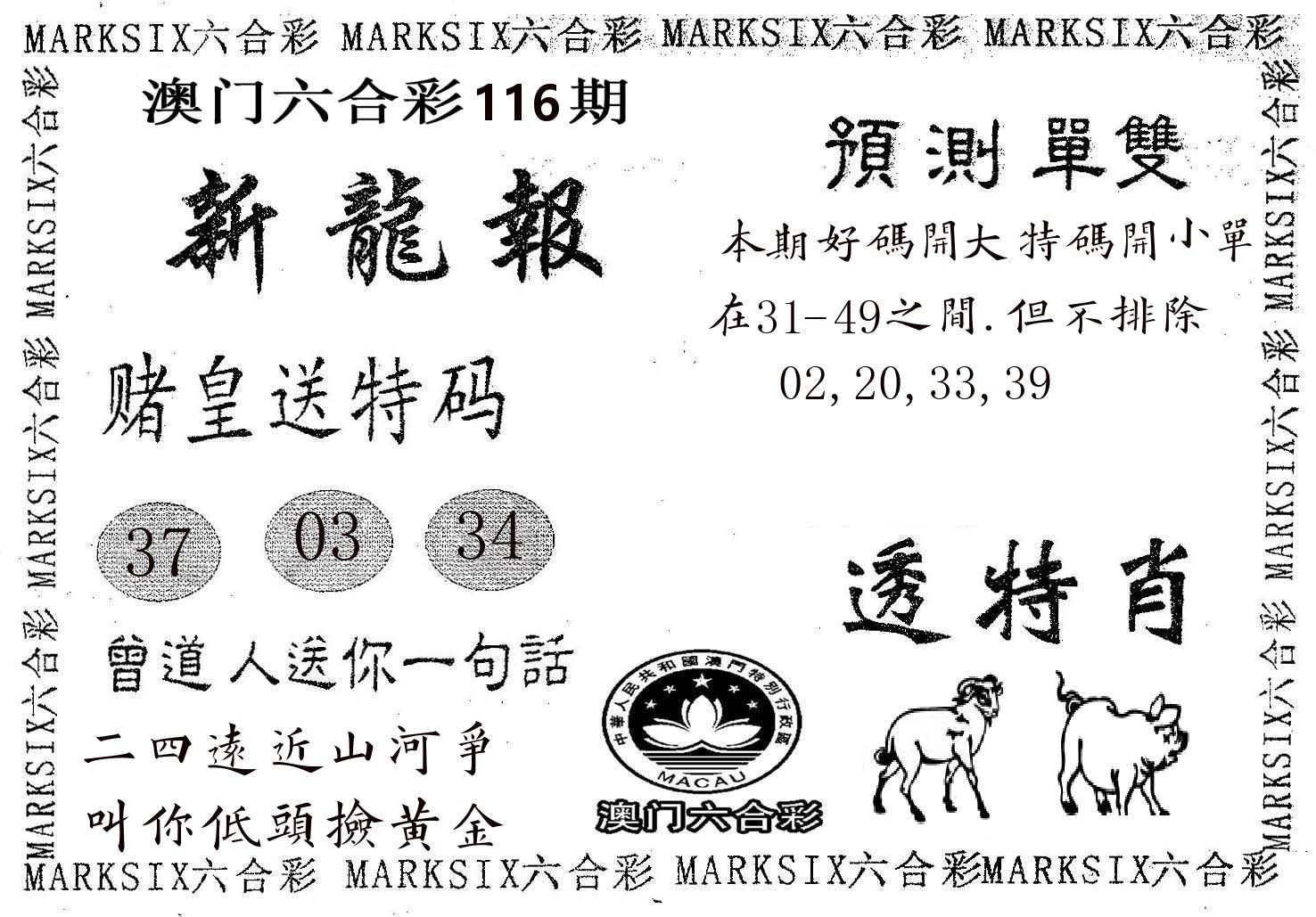 新龙报 第116期