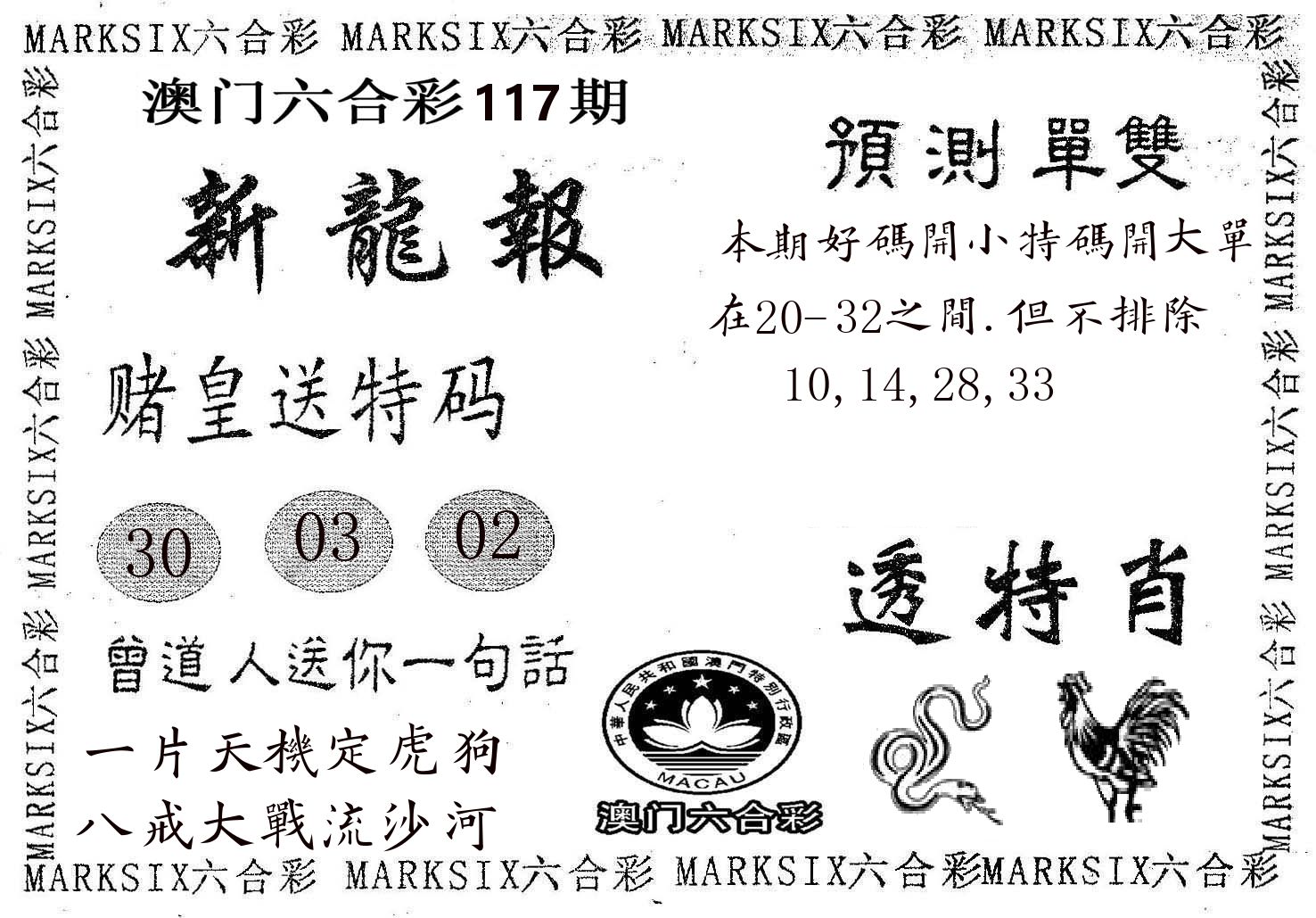新龙报 第117期