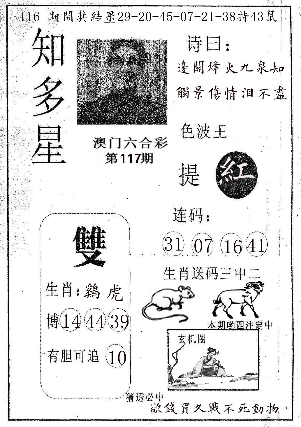 知多星 第117期