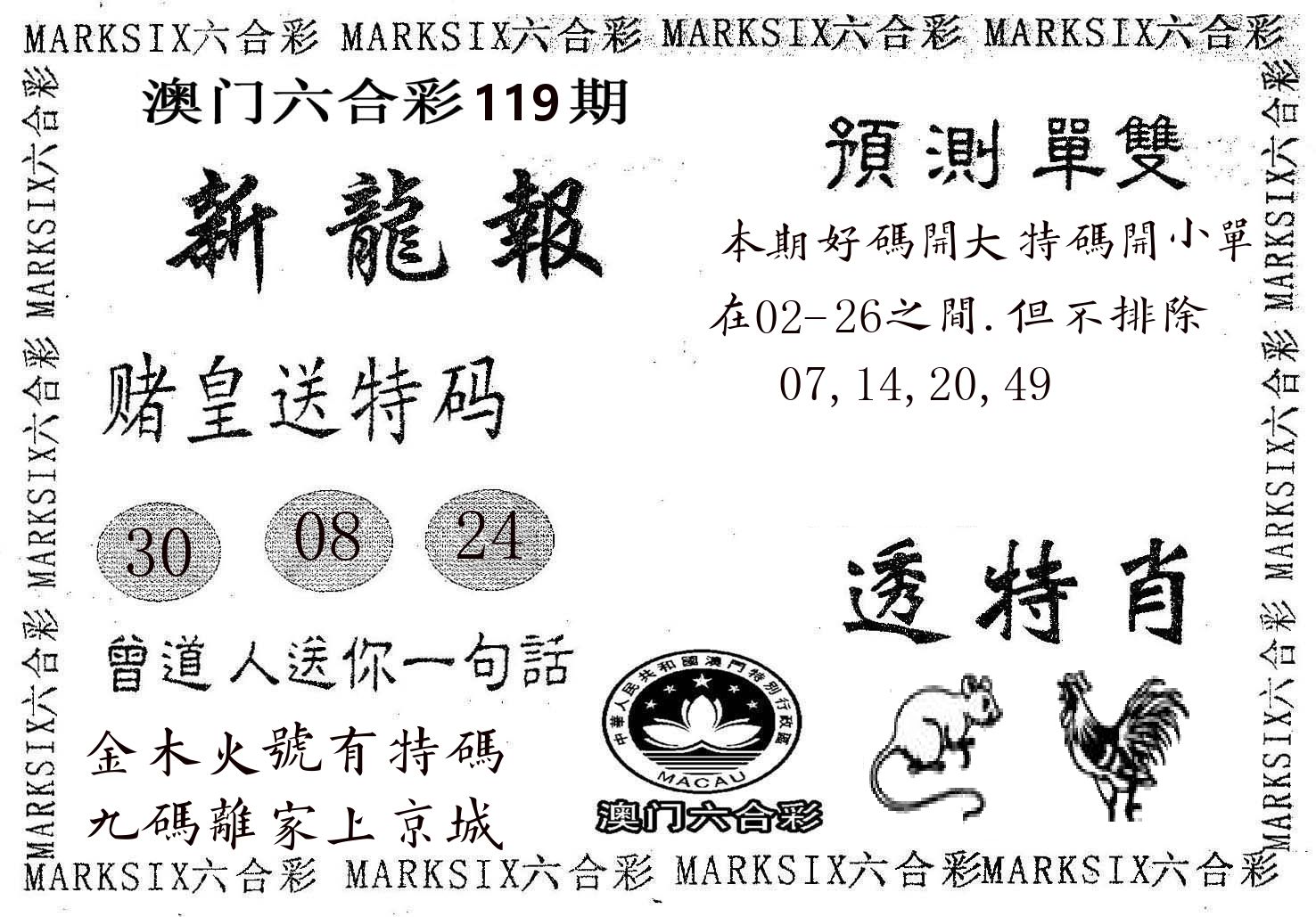 新龙报 第119期
