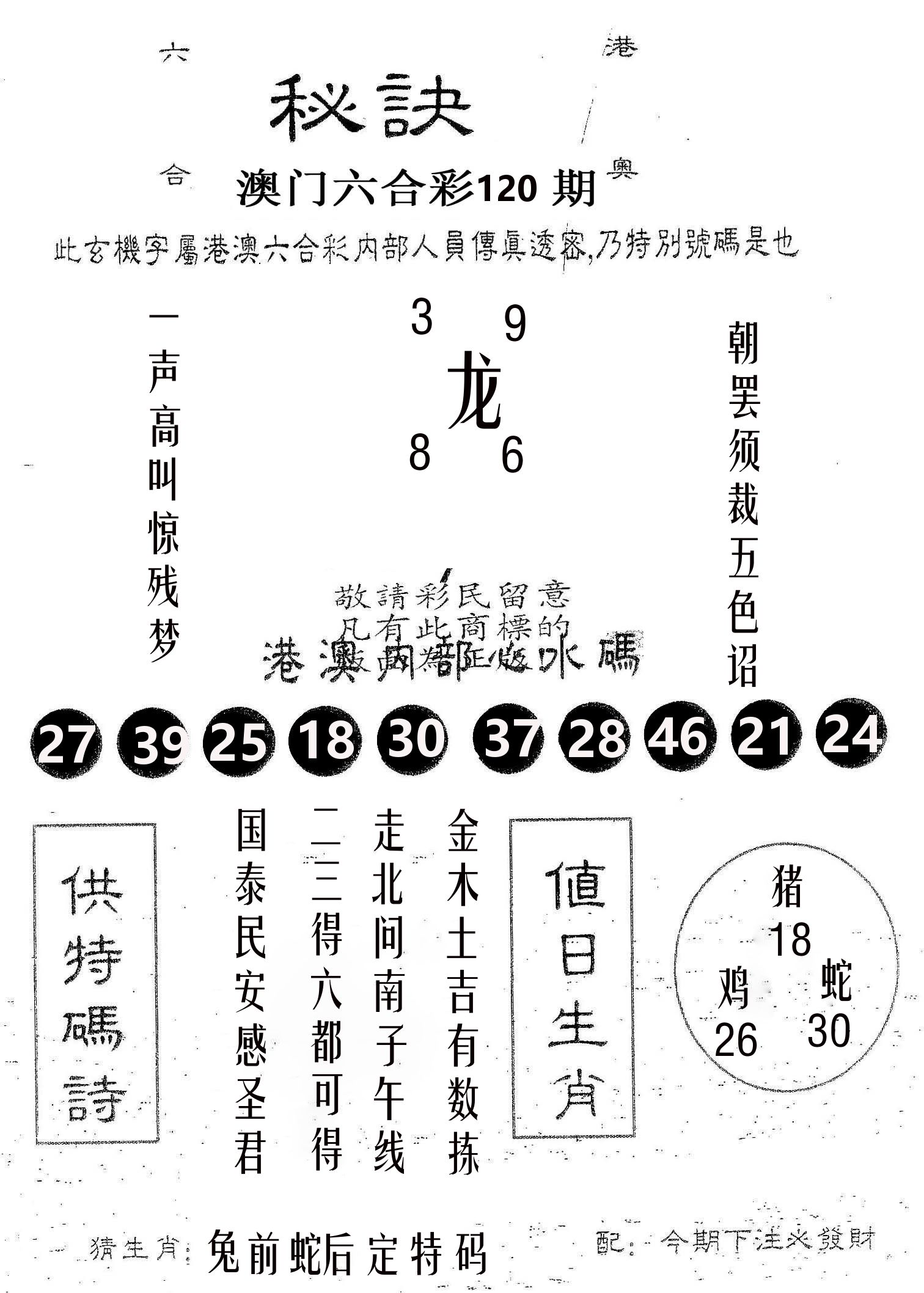 秘决 第120期