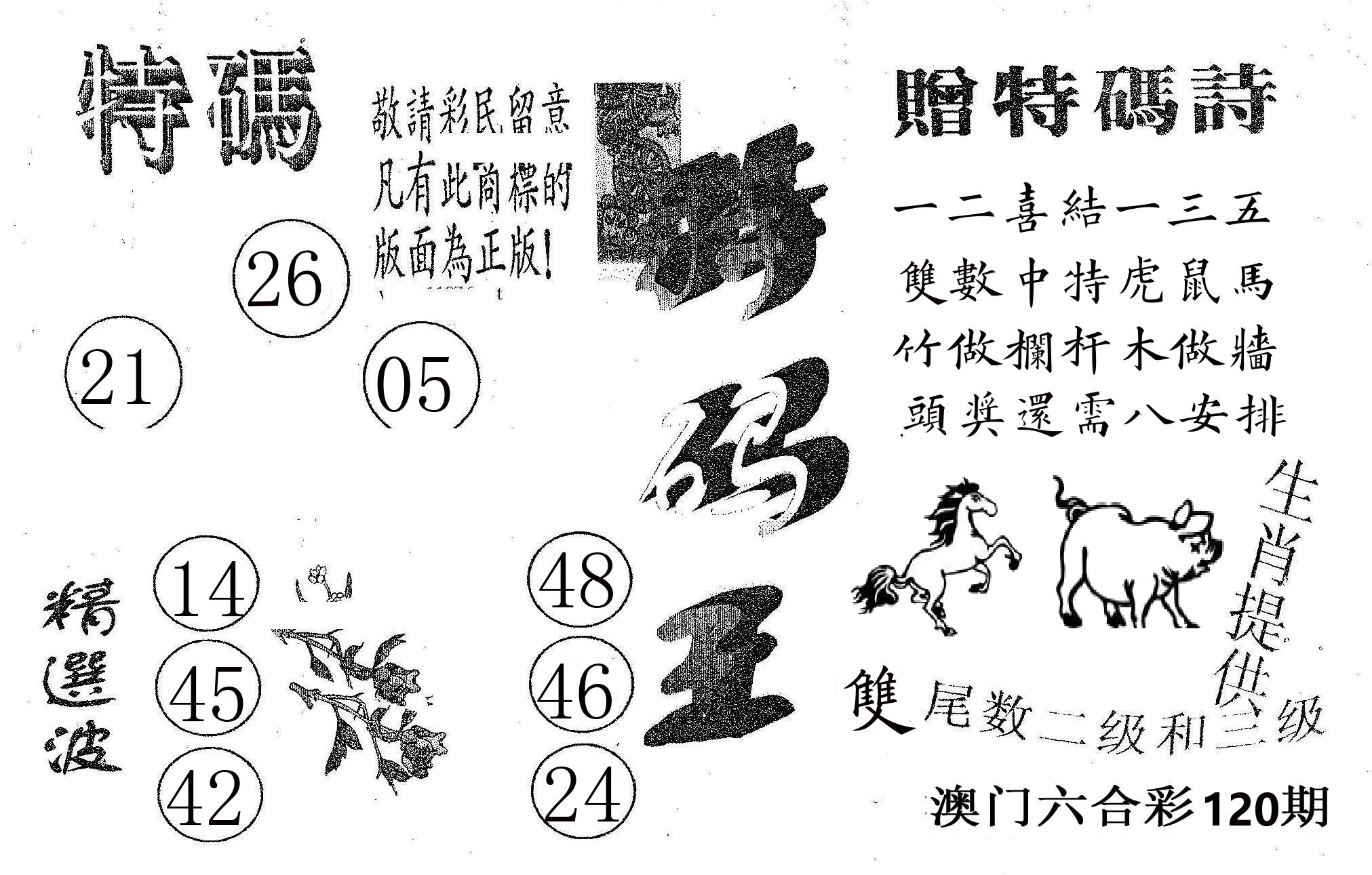 特码王A 第120期