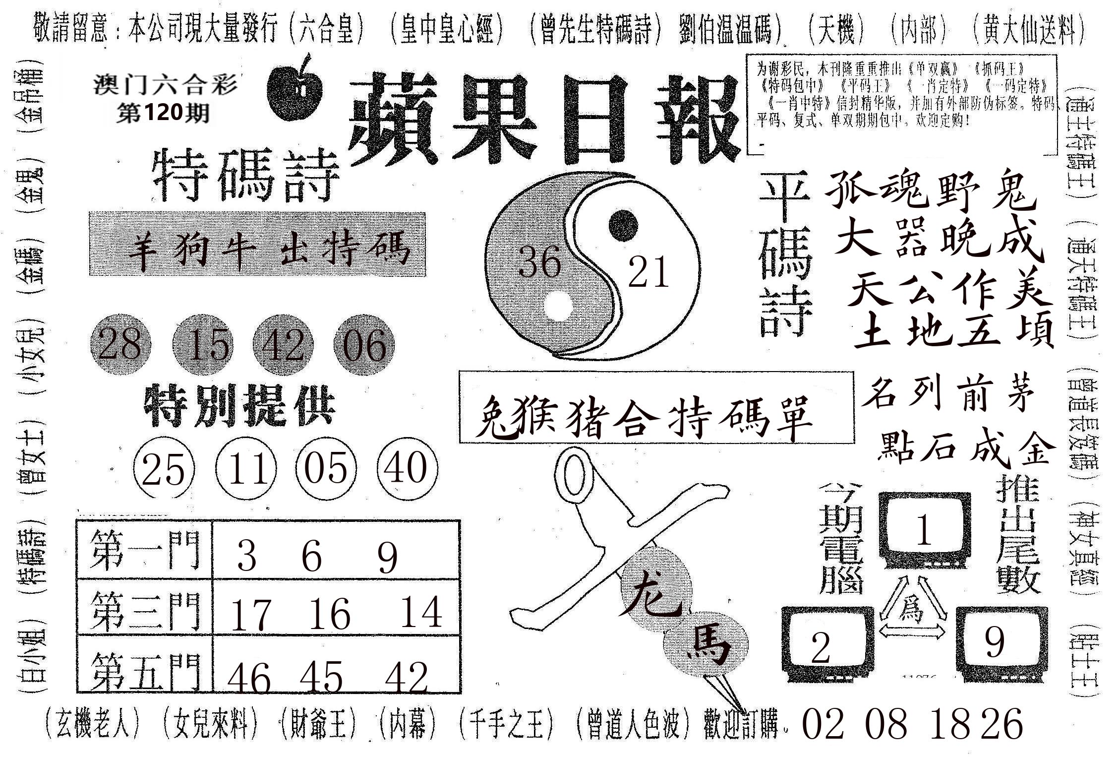 新苹果日报 第120期