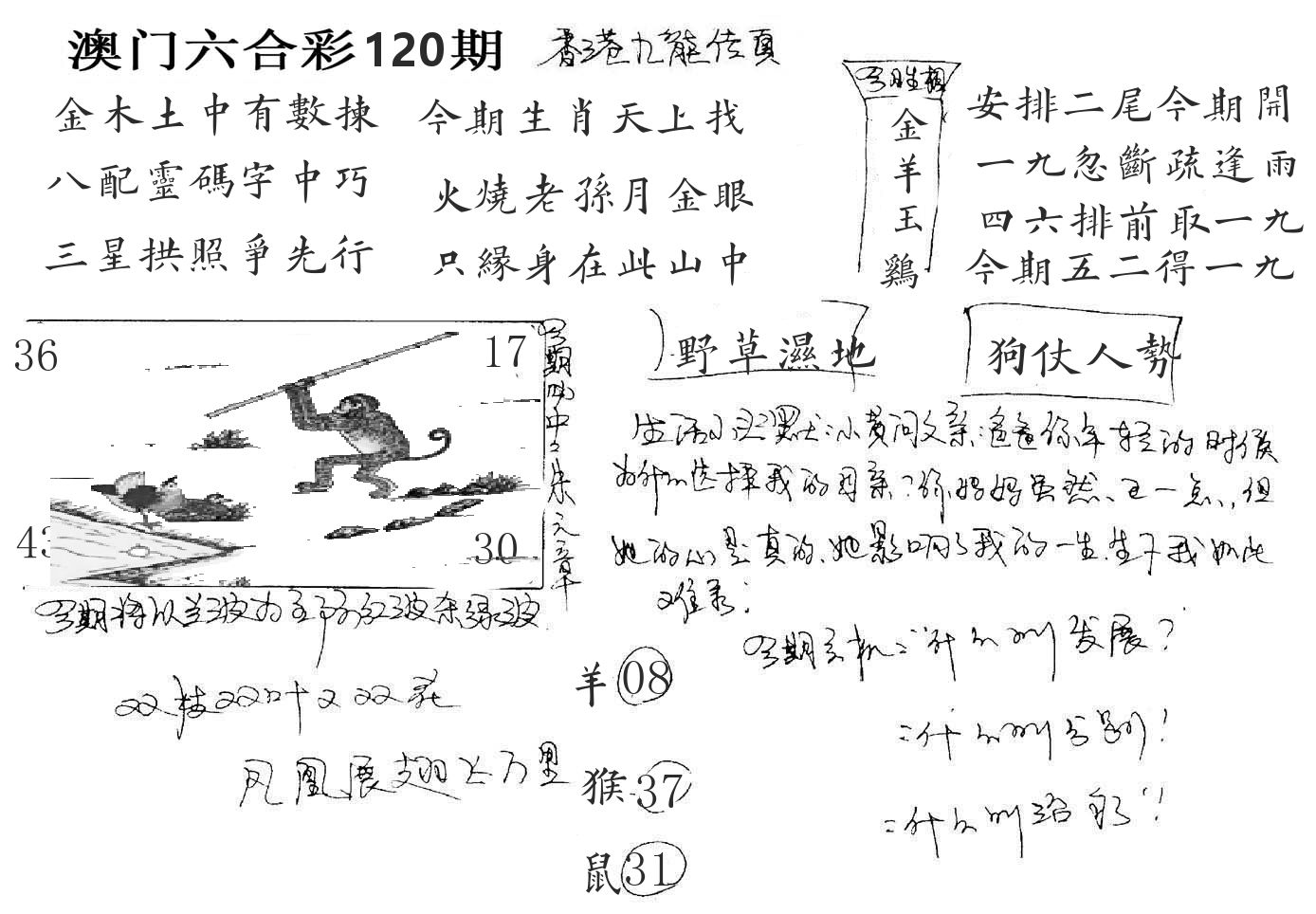 澳门手写九龙 第120期