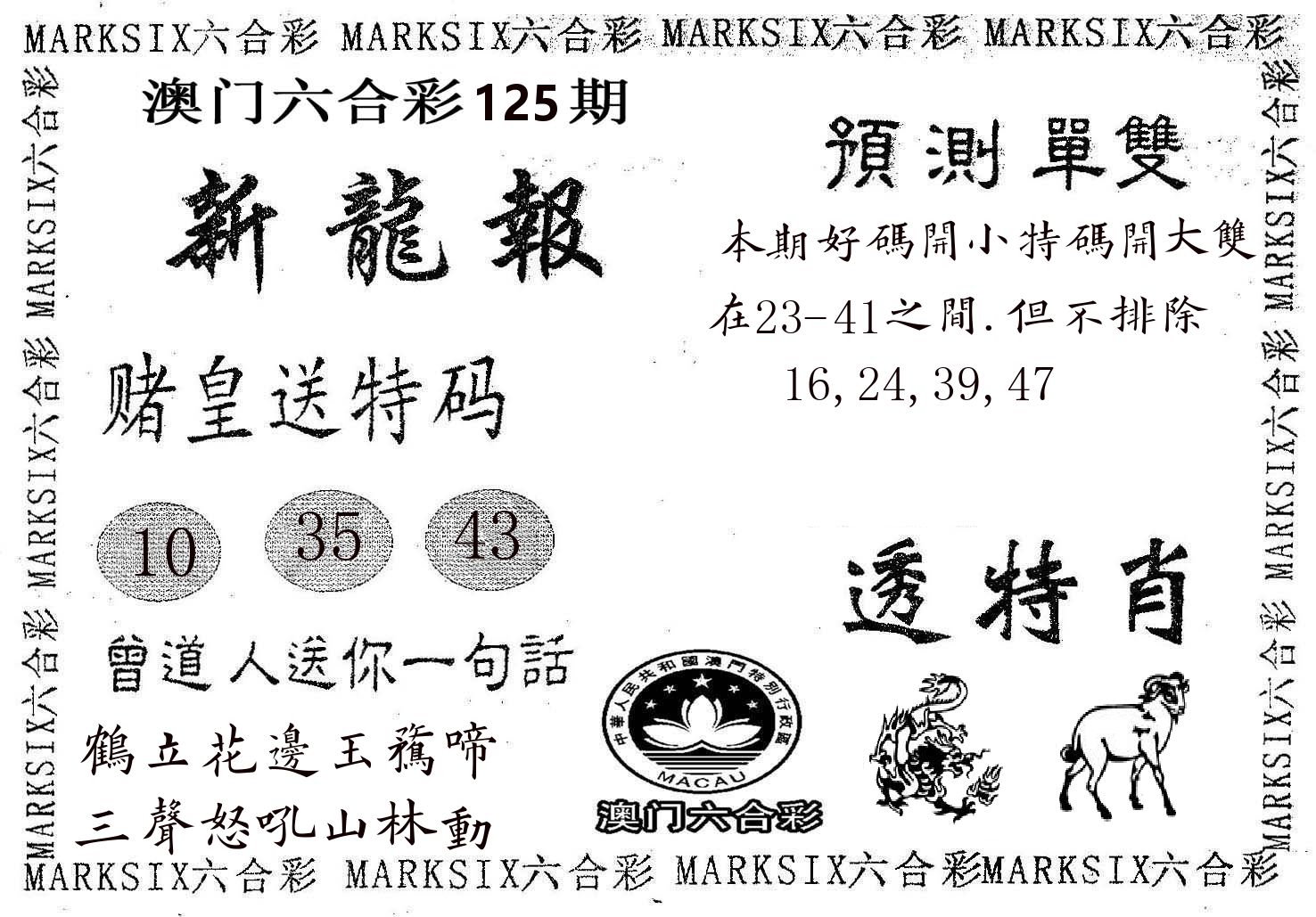新龙报 第125期