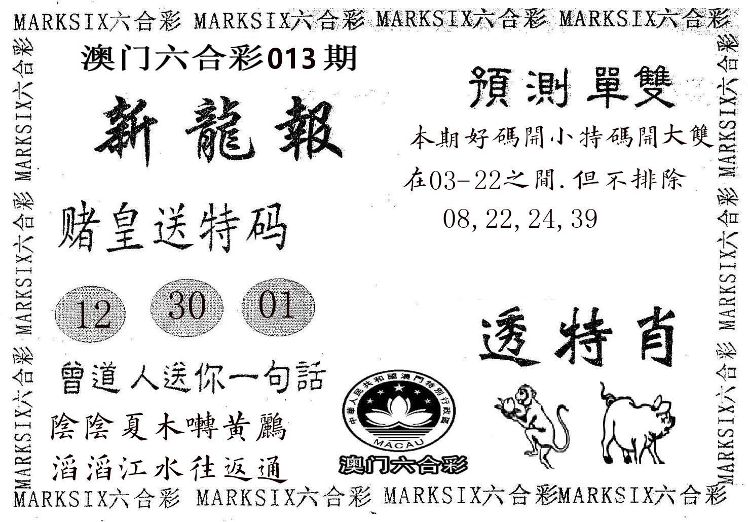新龙报 第13期
