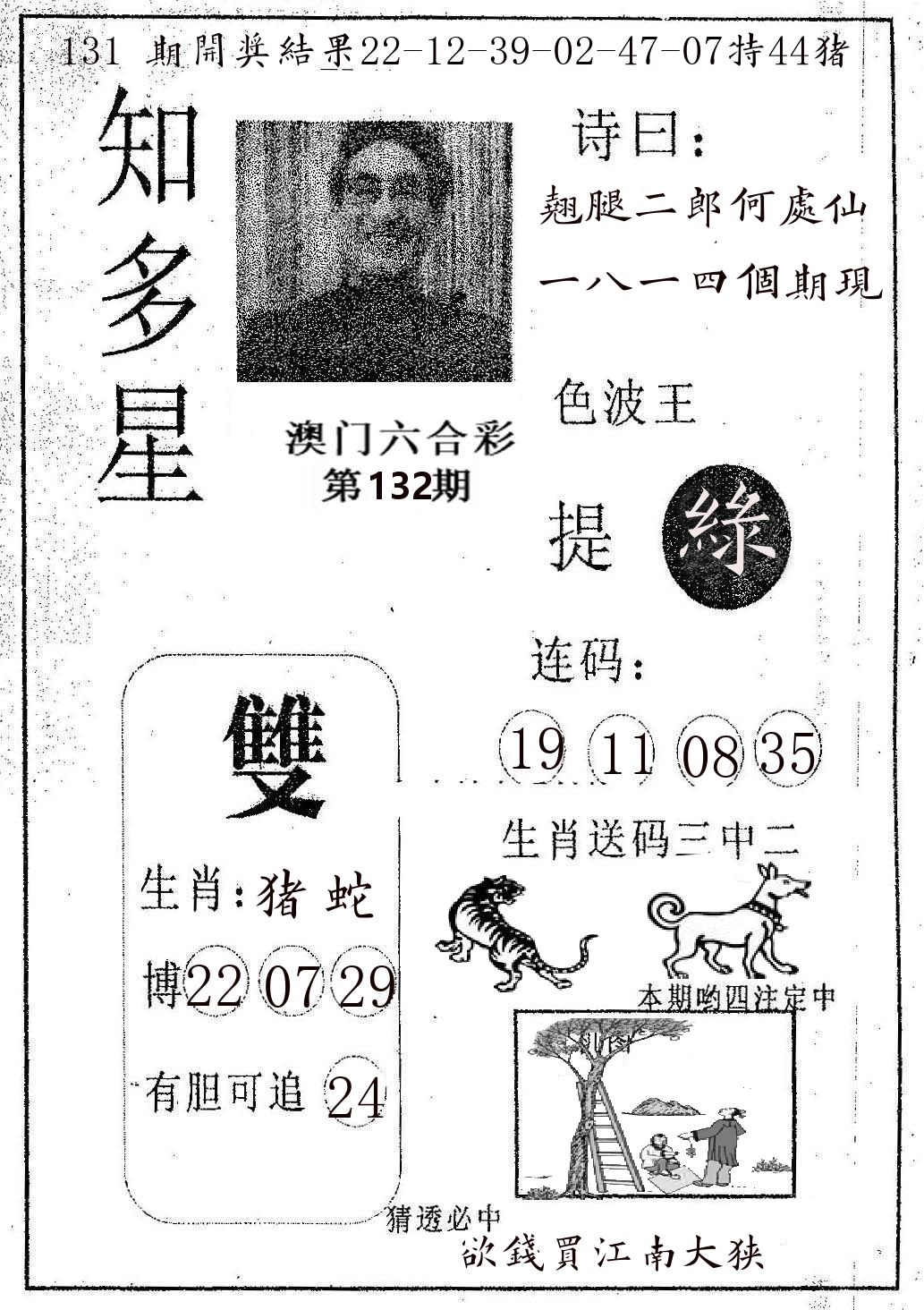 知多星 第132期