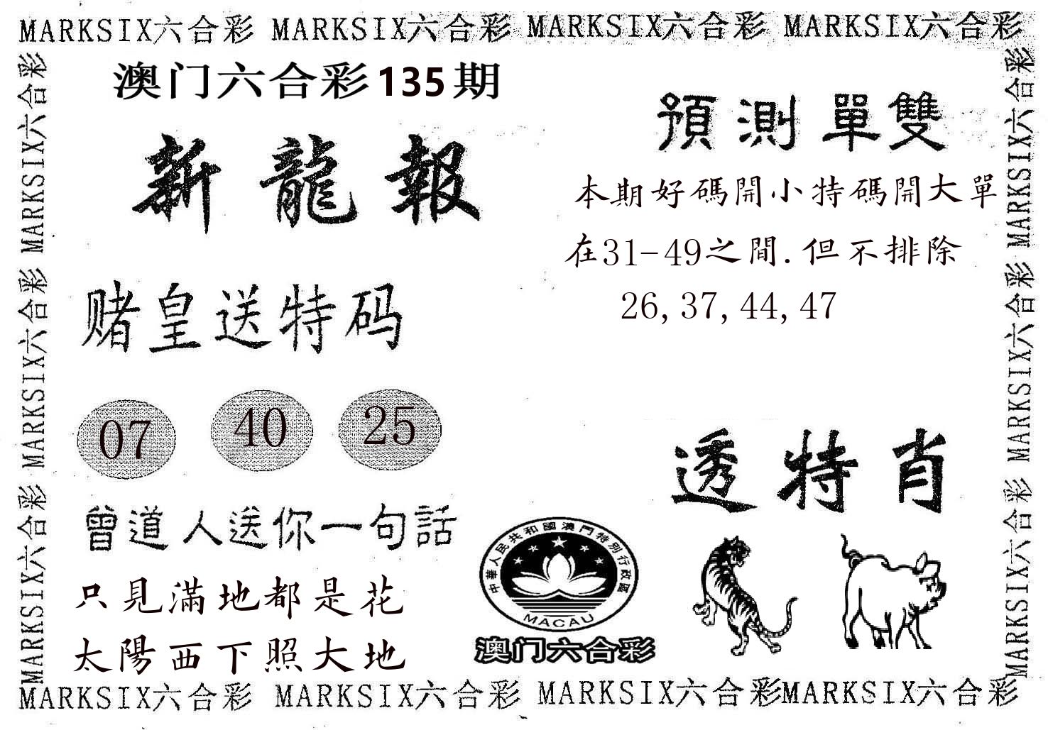新龙报 第135期