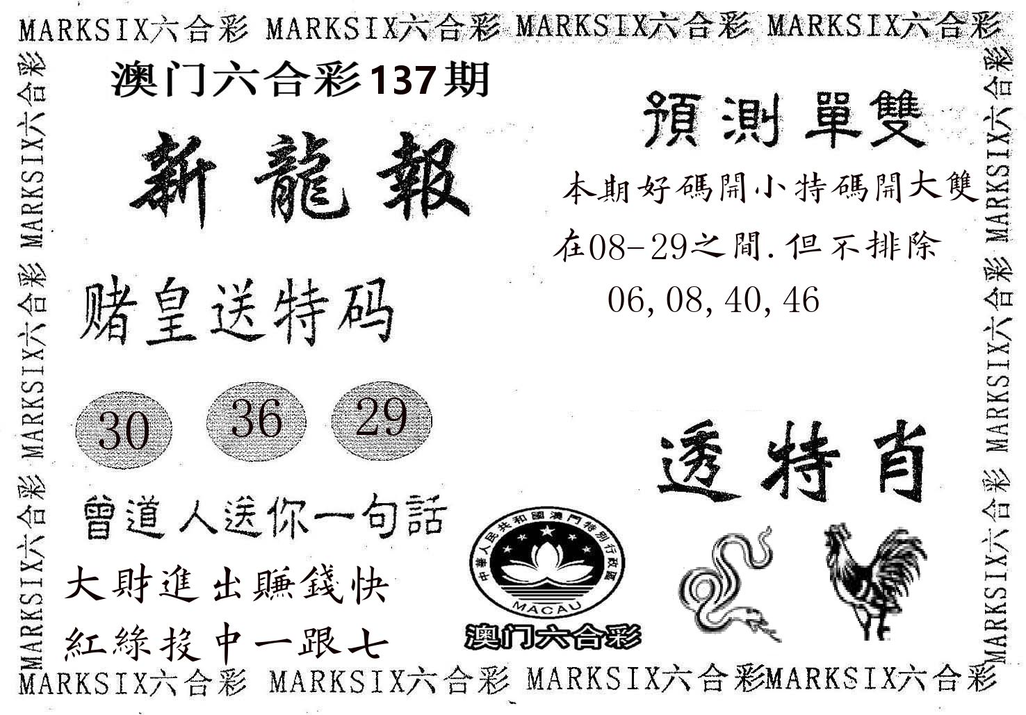 新龙报 第137期