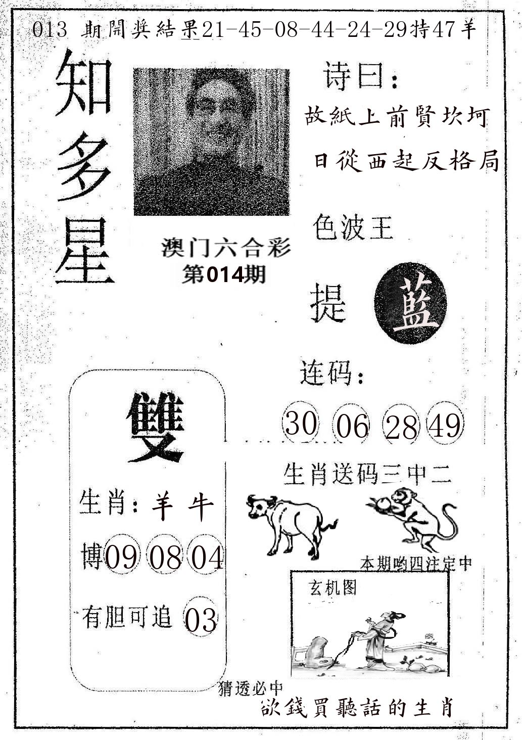 知多星 第14期