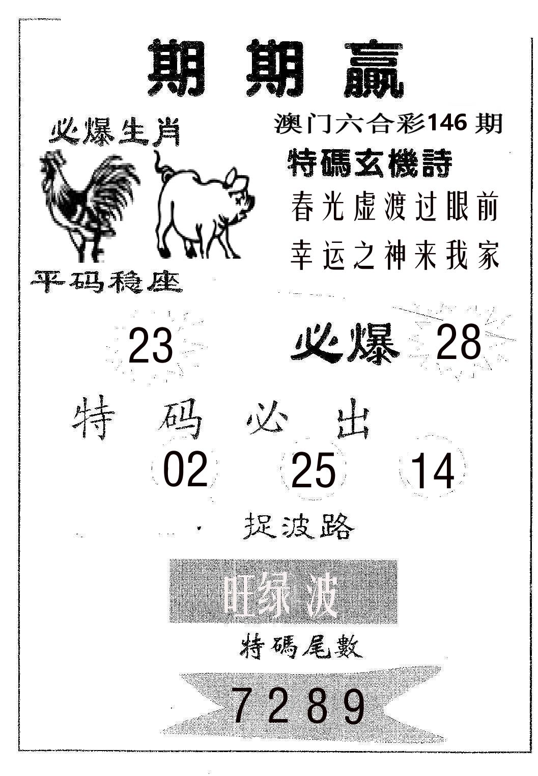 期期赢 第146期