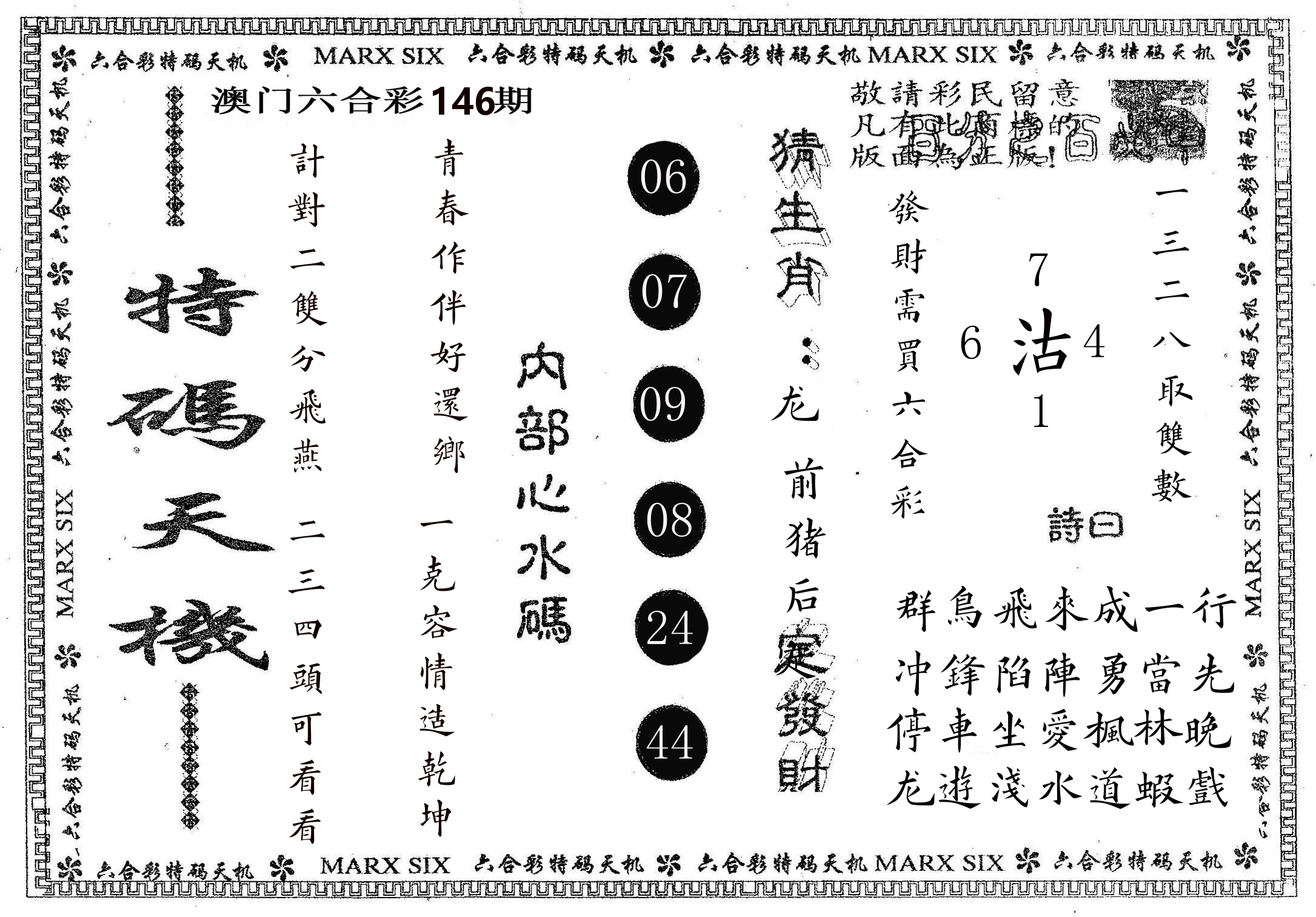 特码天机 第146期