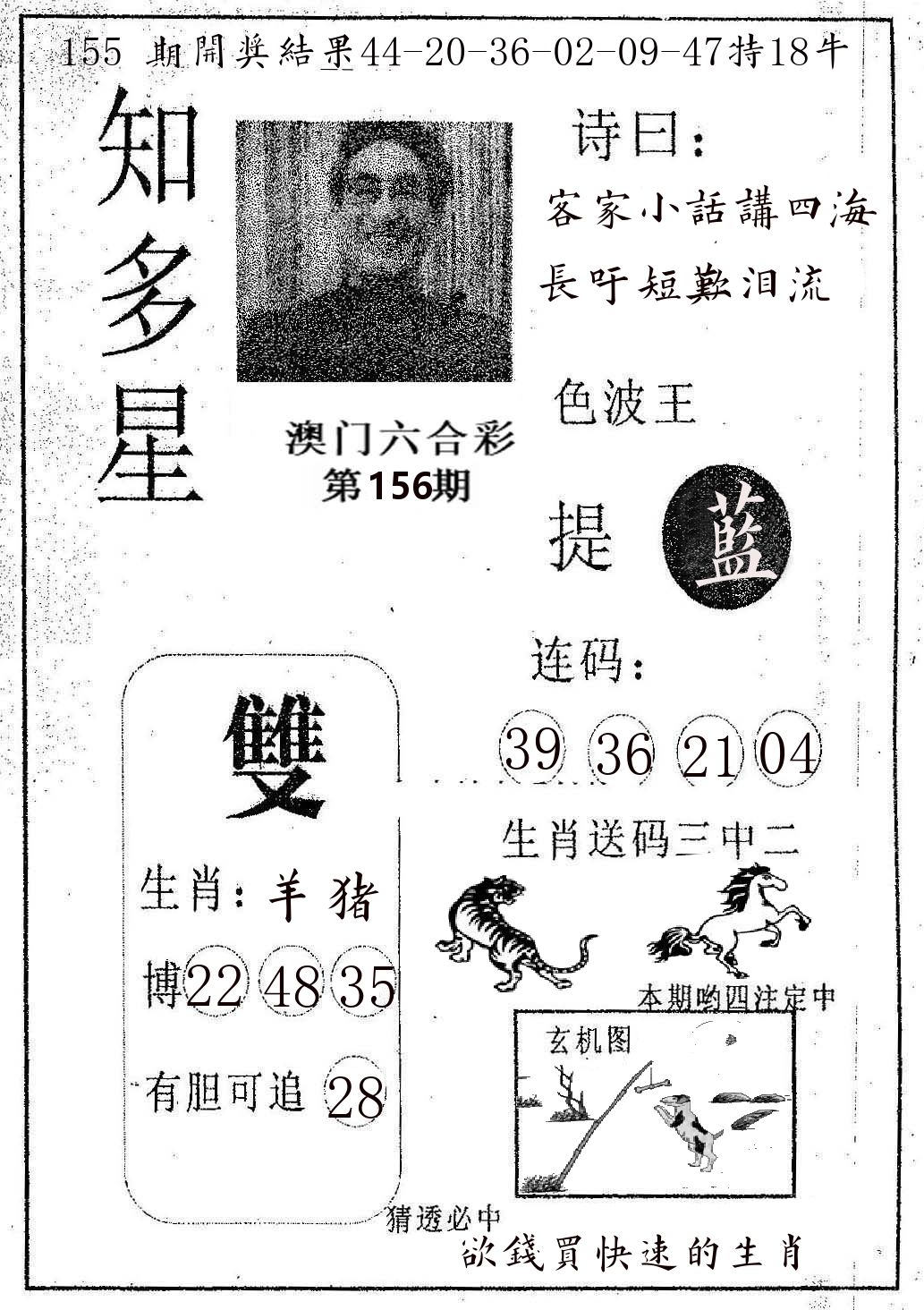 知多星 第156期