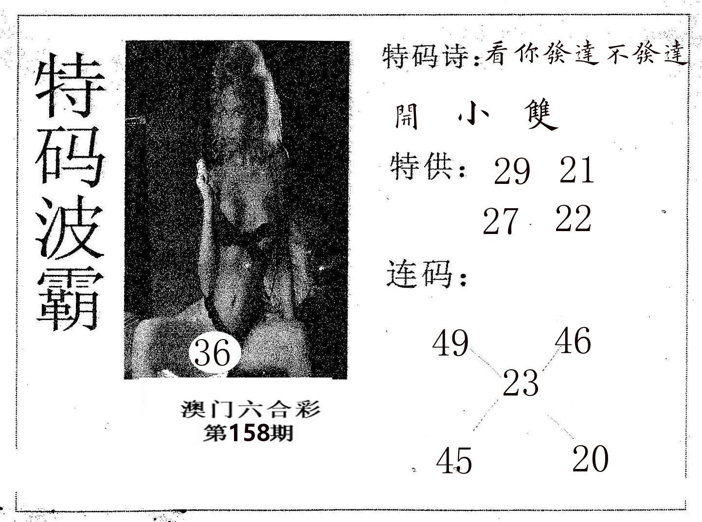 特码波霸 第158期