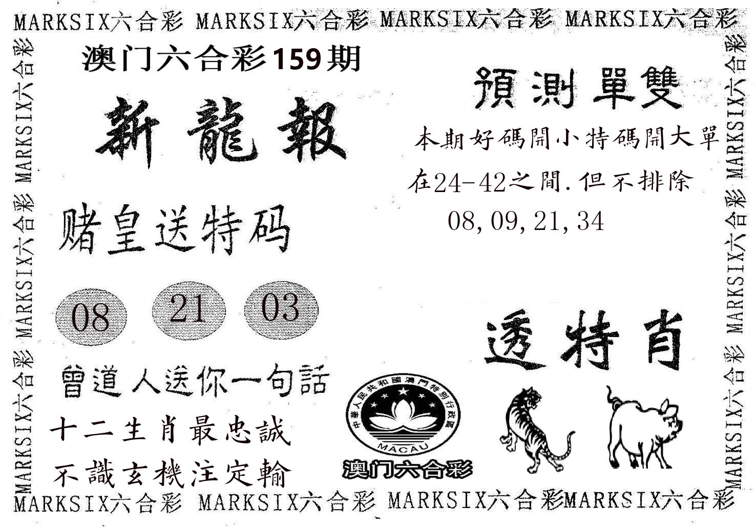 新龙报 第159期